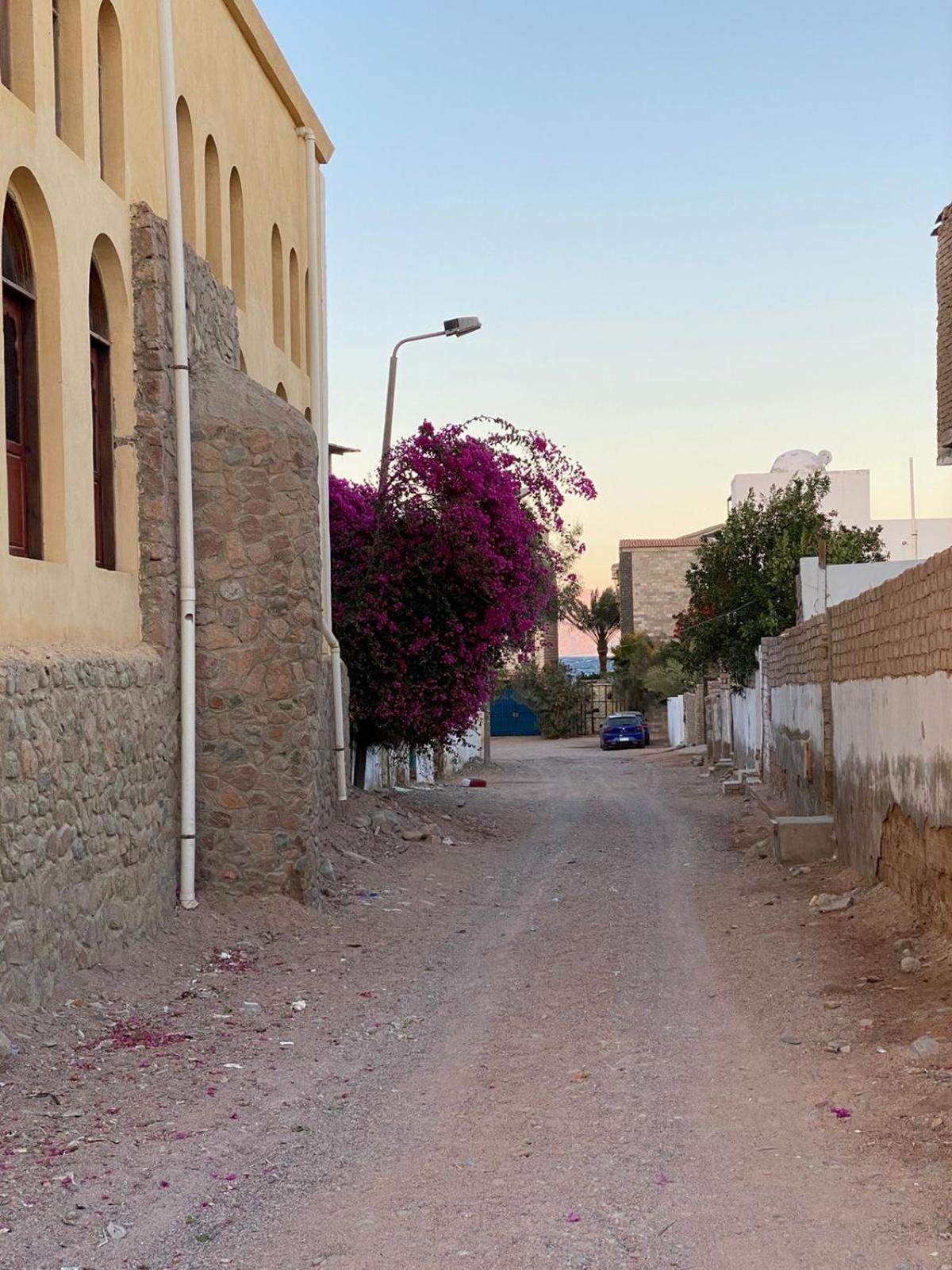 Hotel Bougainvillea studio - Image 1