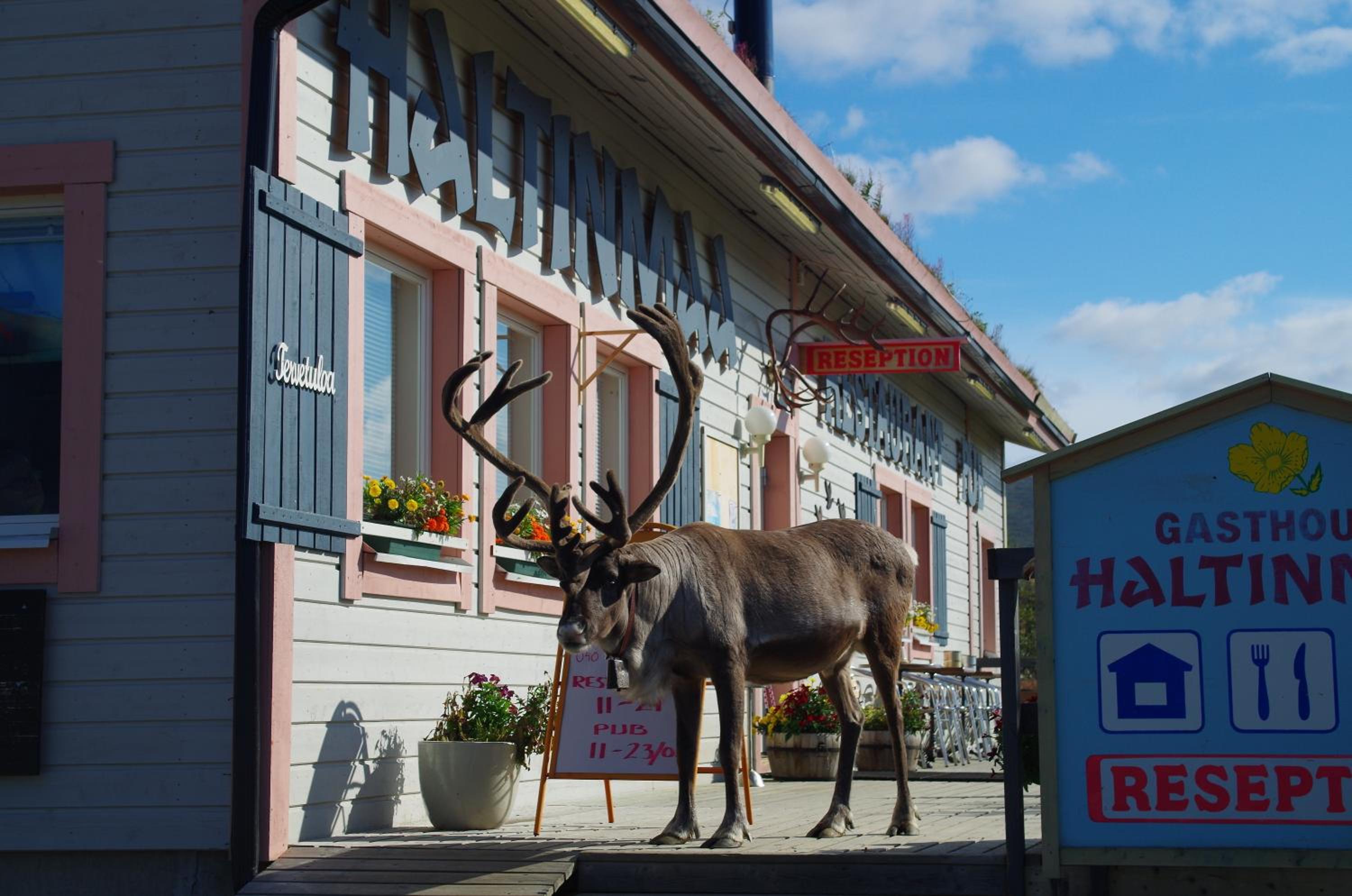 Haltinmaa Cottages