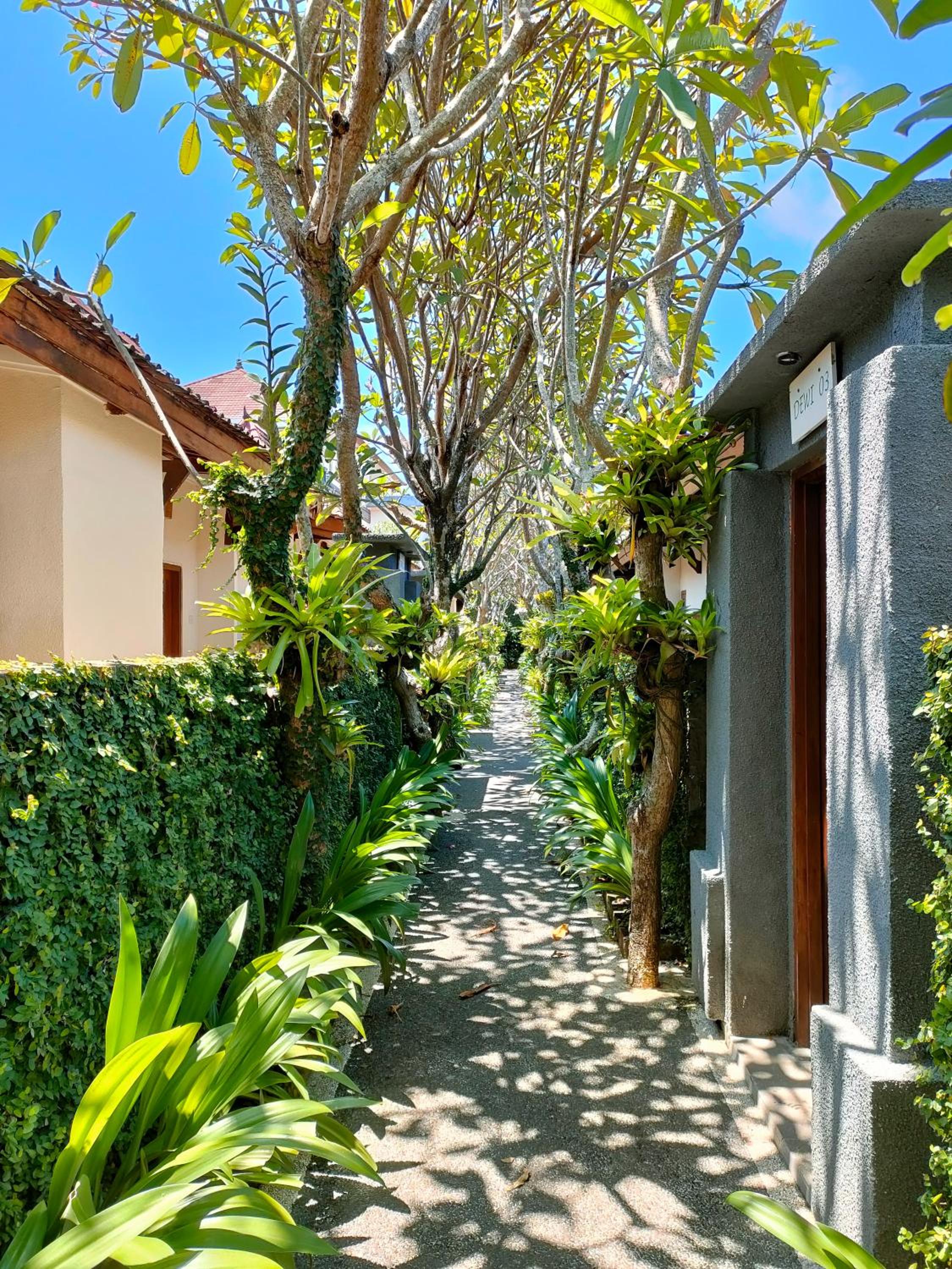 Alam Bidadari Seminyak