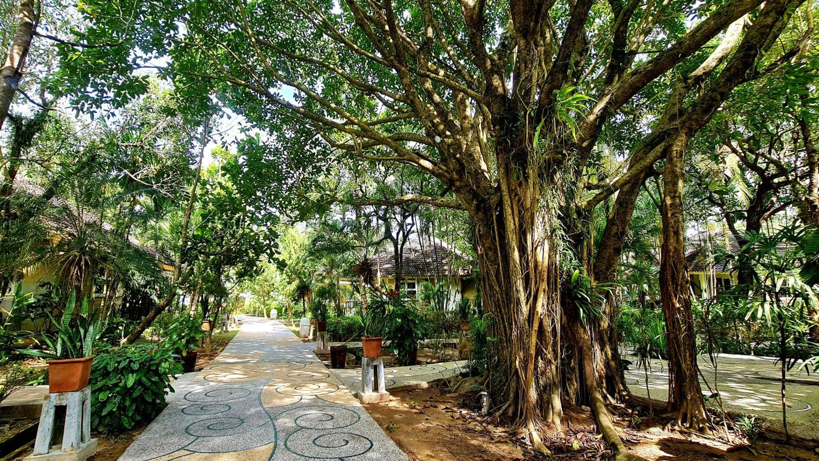 Baan Khaolak Beach Resort