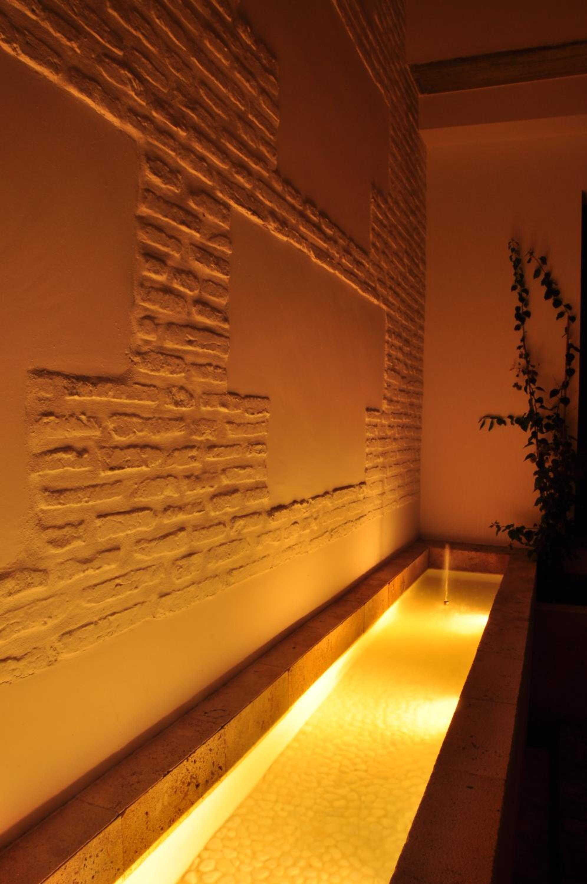 Apartamentos Coronado