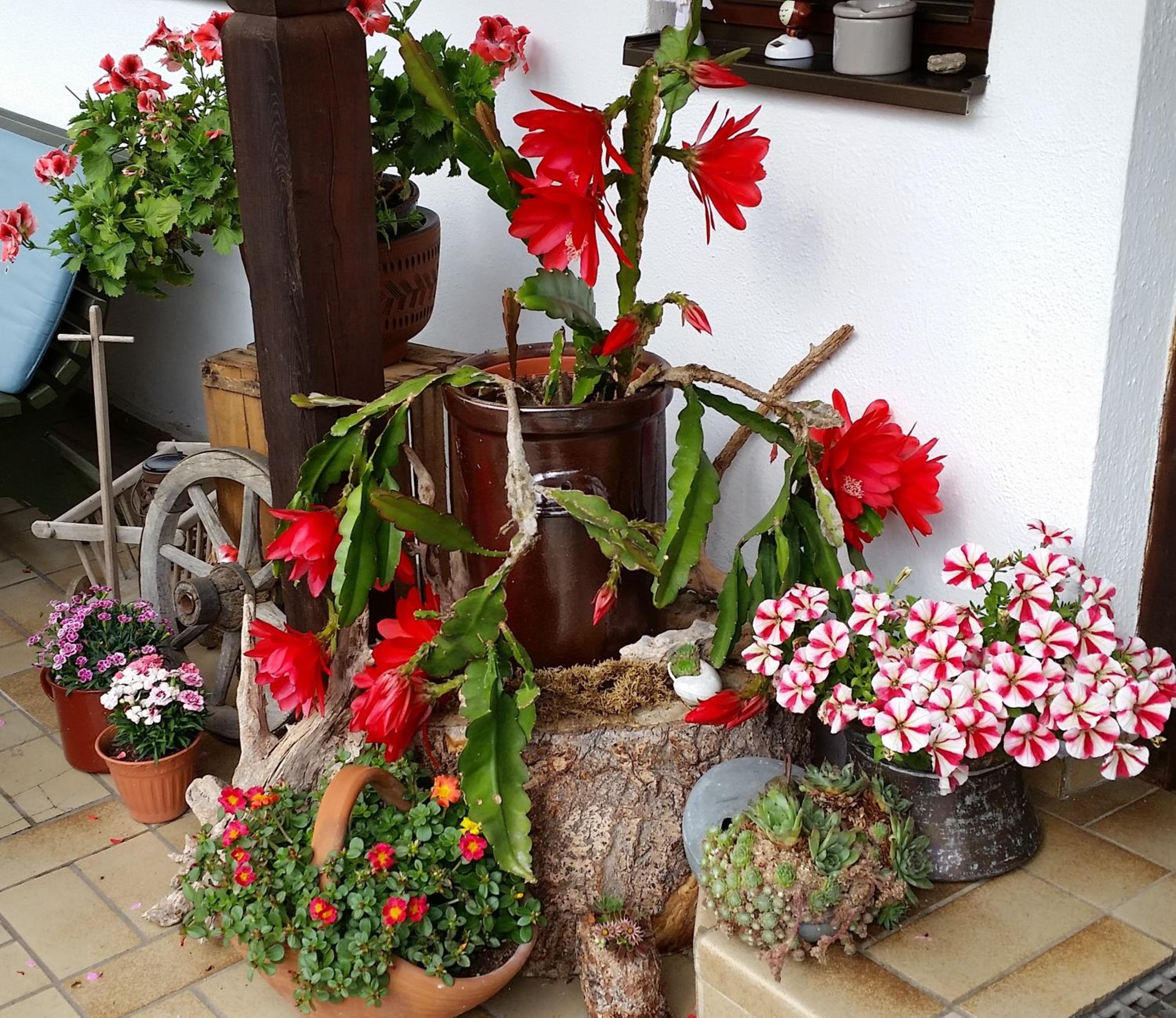 Pension Staufenhof