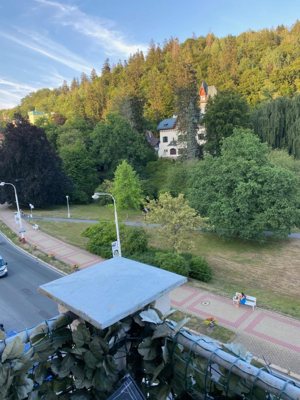 Apartment PARK VIEW