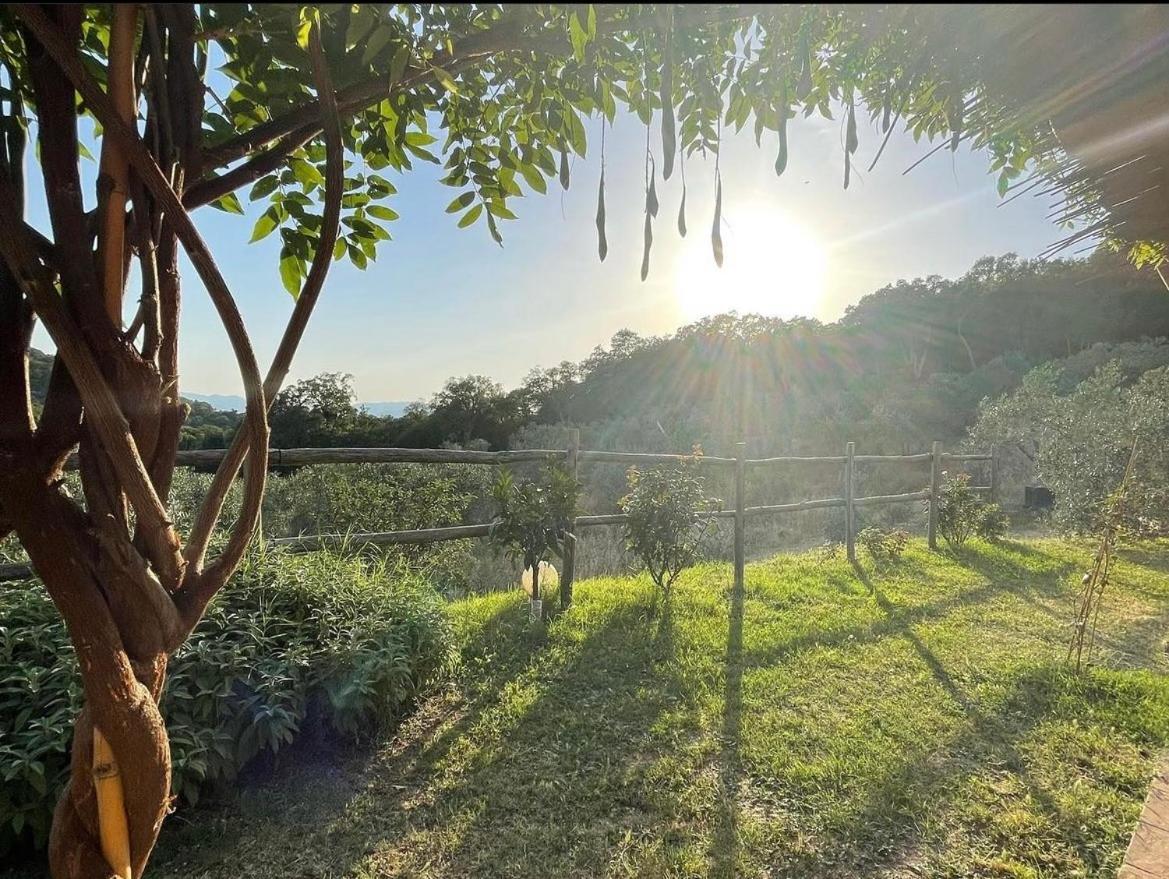 Agriturismo Il Sorbo Appartamento Lavanda