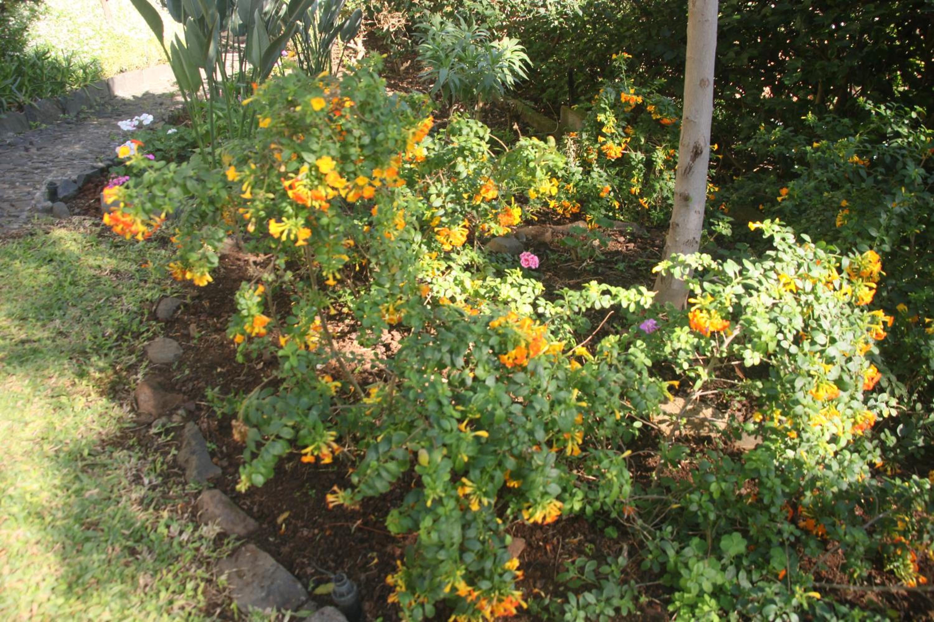 Photo 58
