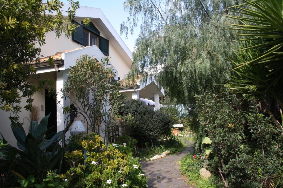 Photo 44