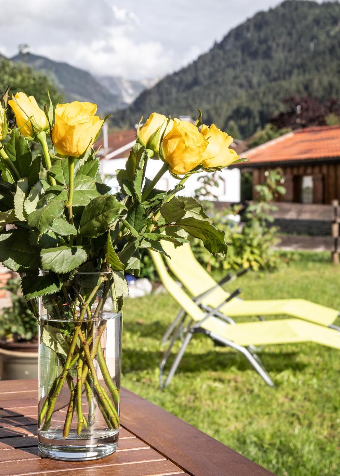 Neu! Sonnige Terrassen-Ferienwohnung in den Bergen