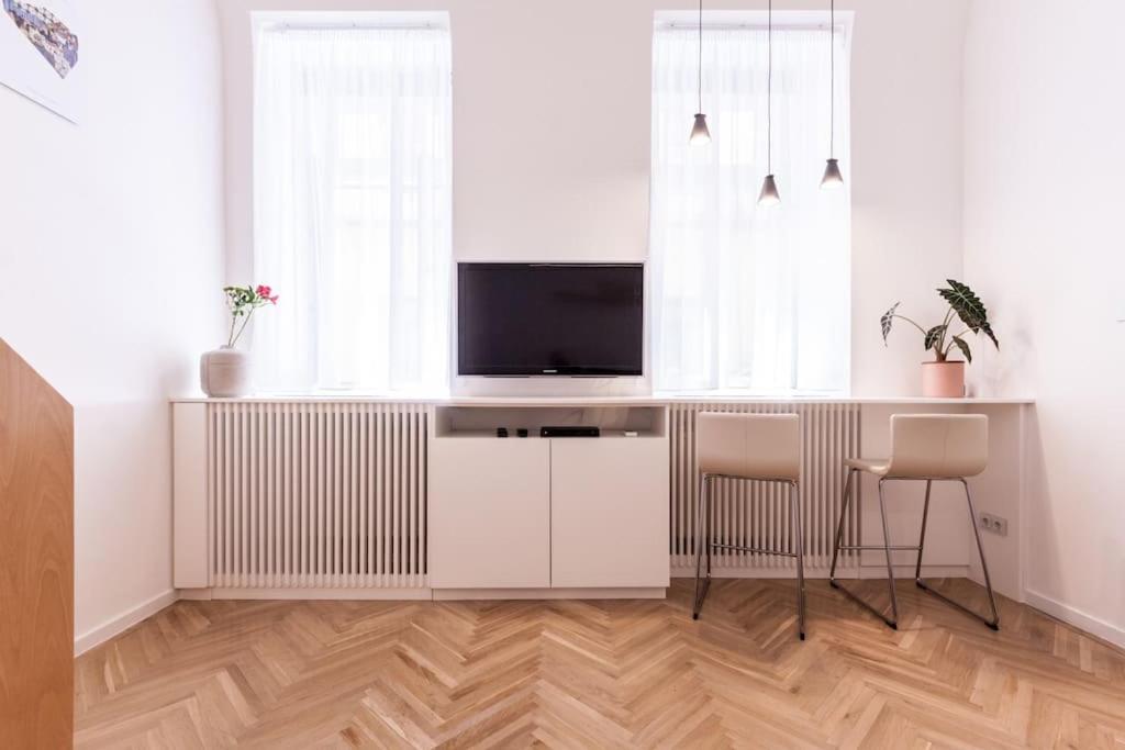 Eszter's Lovely Downtown Apartment view 2