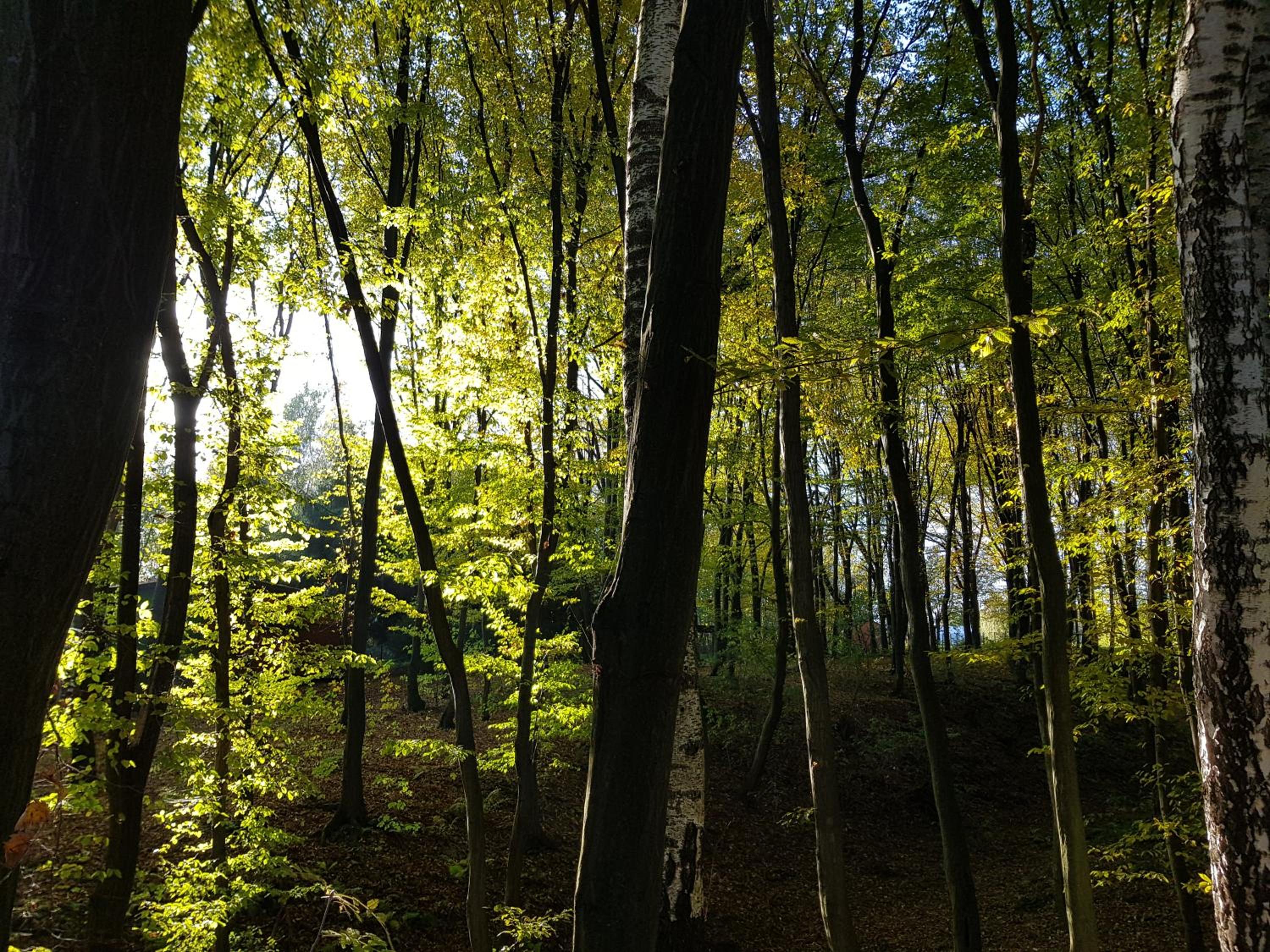 Photo 47