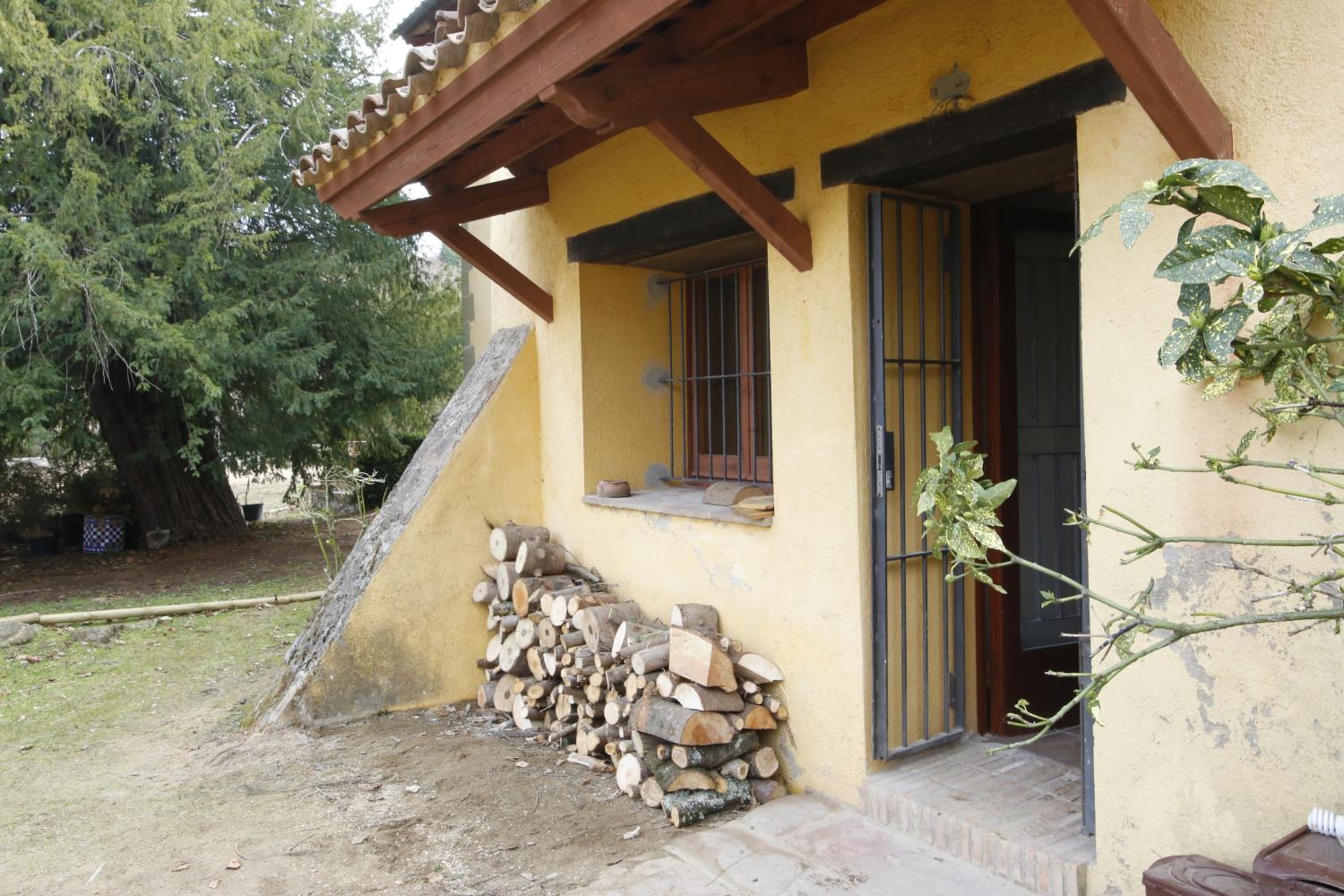 Photo 41
