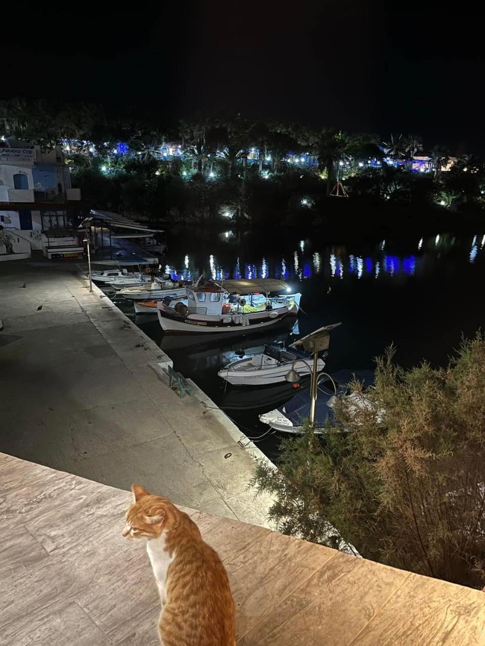 Helios Stays - Sisi Private Apartments