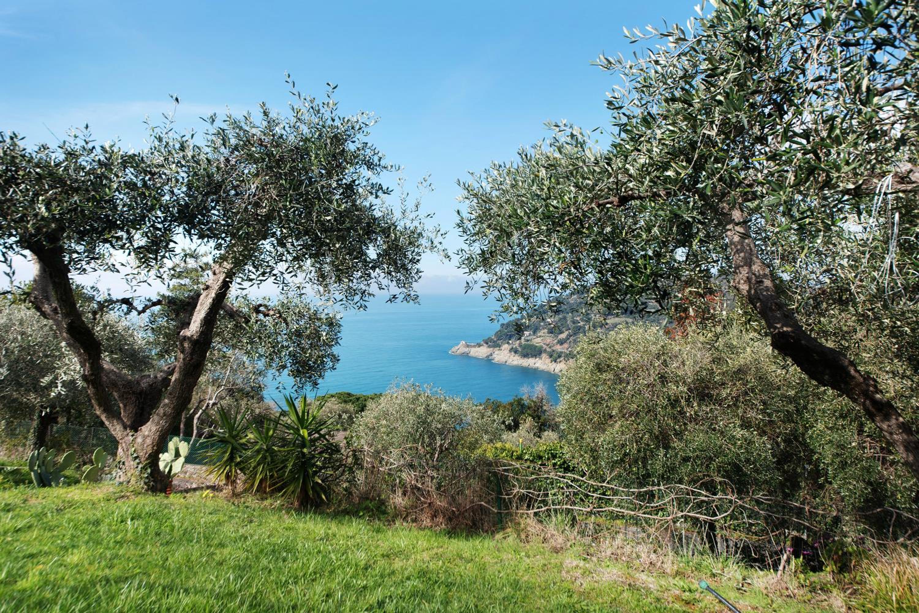 Il Paradiso Sul Mare view 3