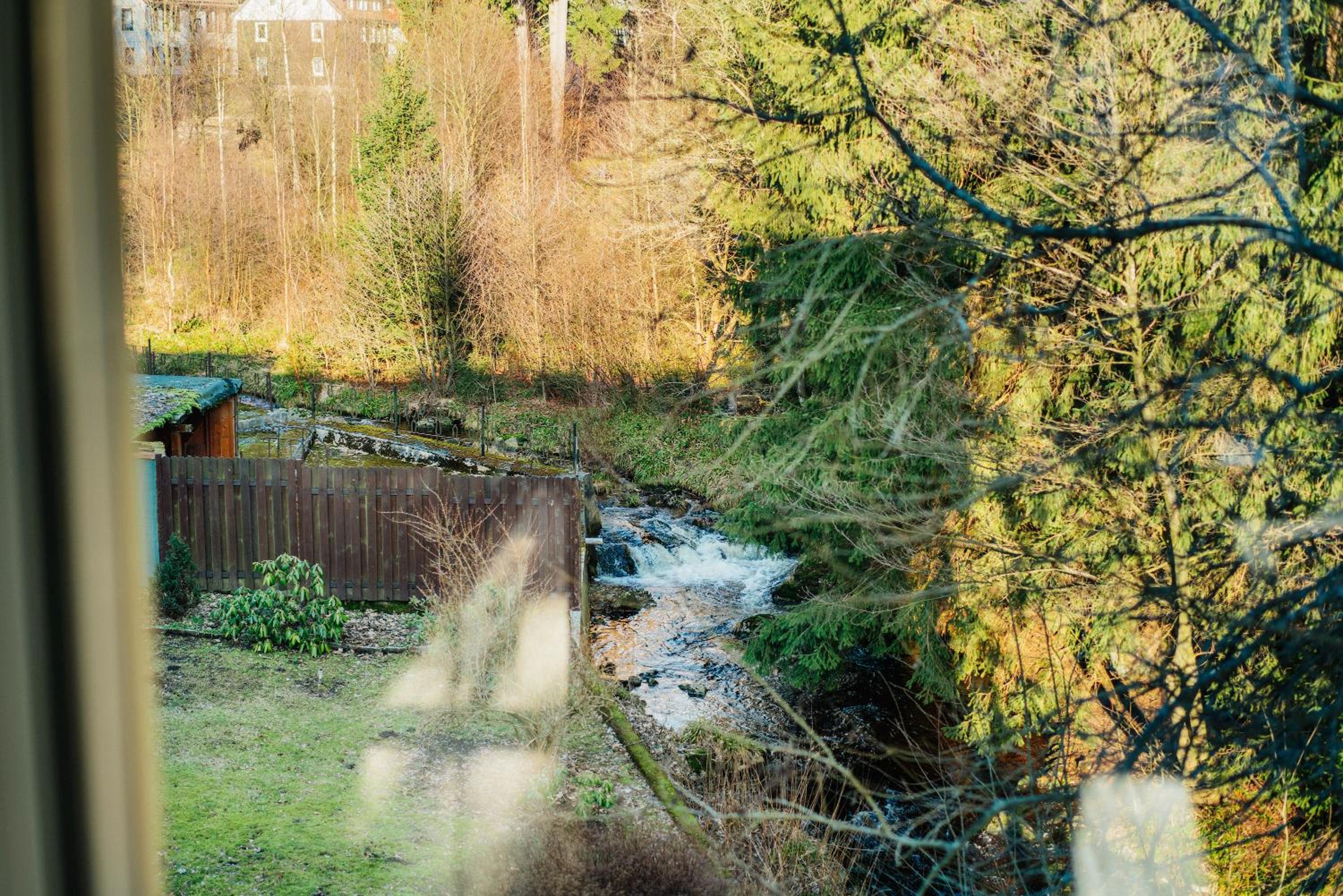 Ferienwohnung Lärche en Braunlage
