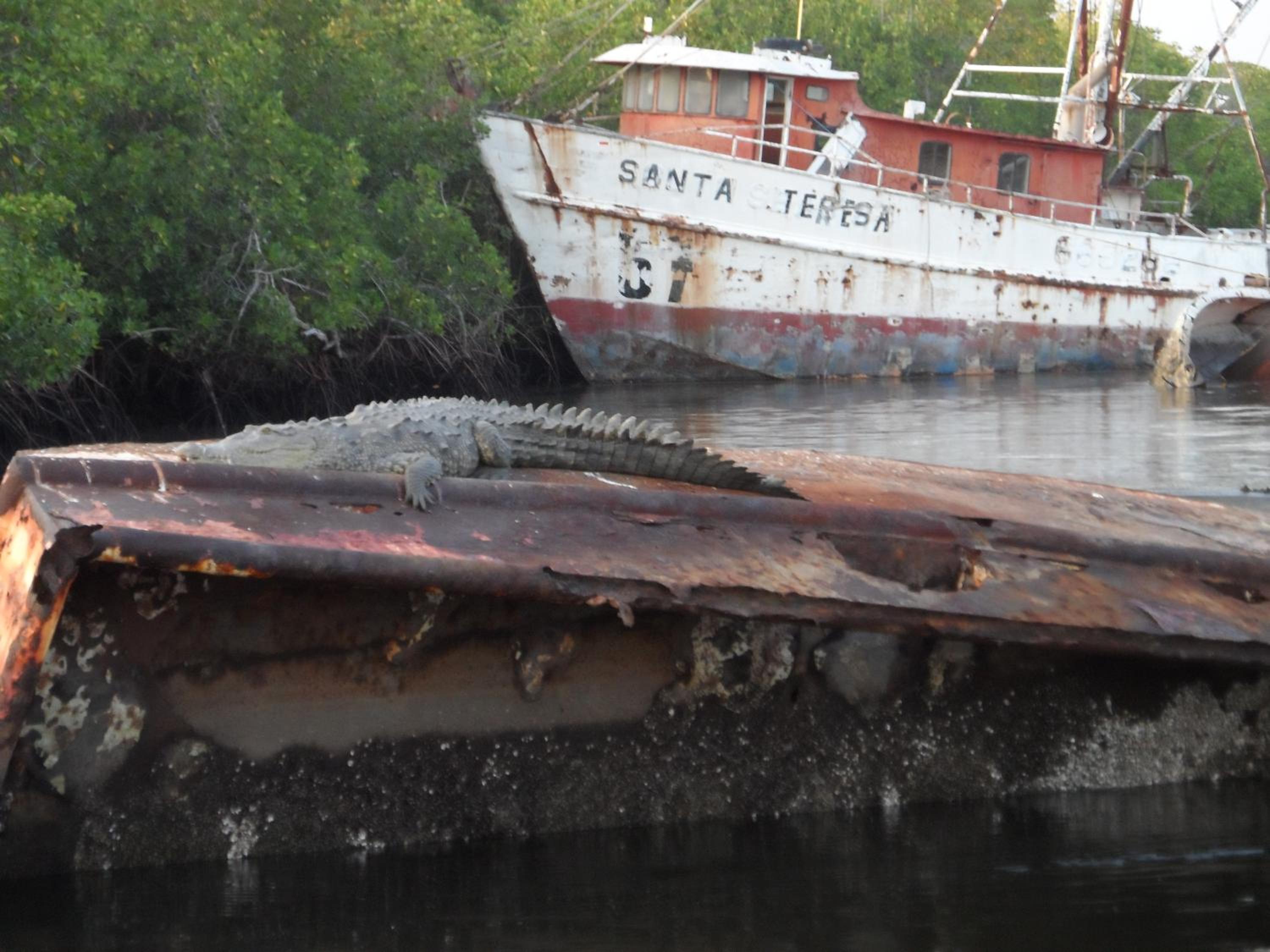 Puerto Barillas