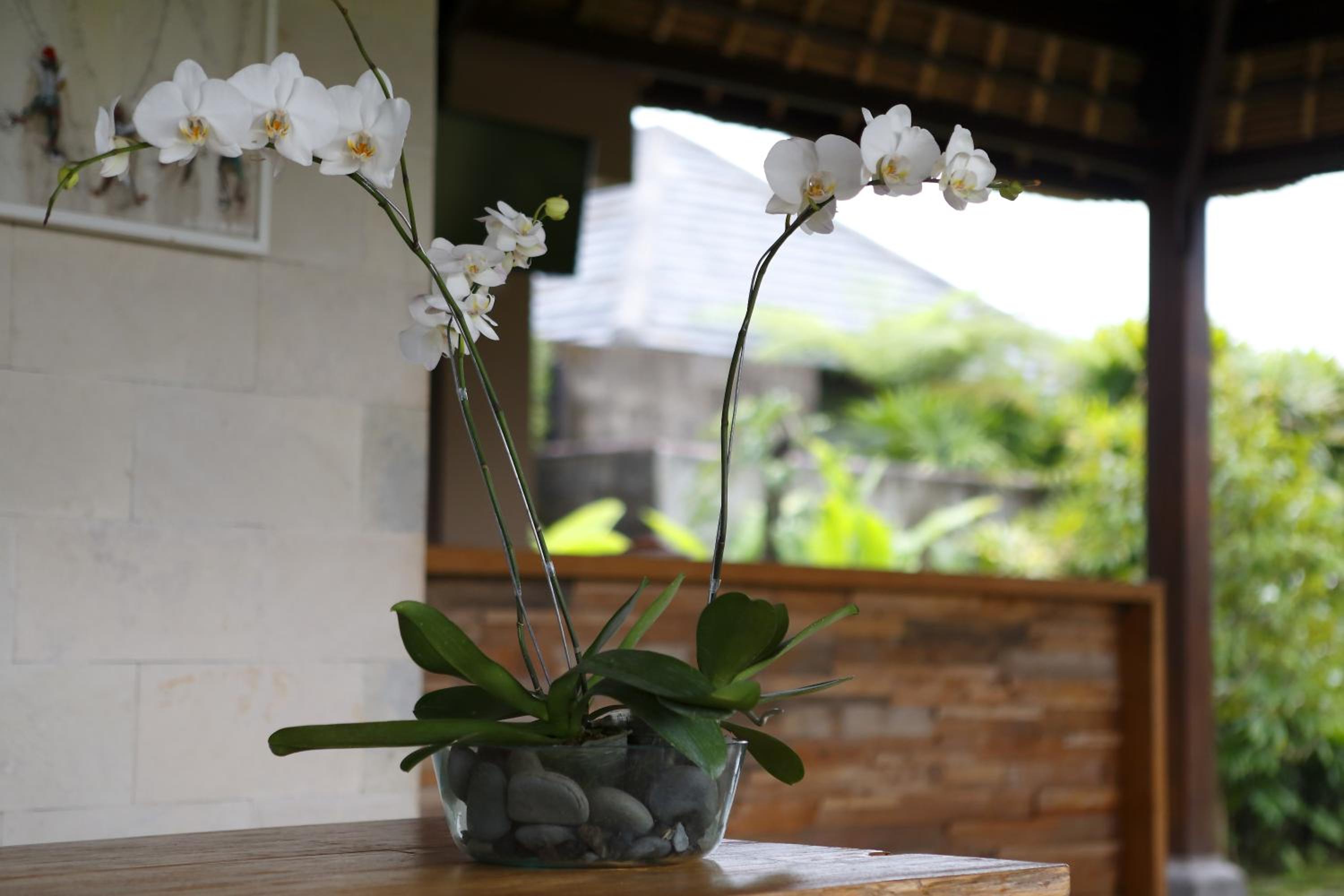 Villa Kayu Lama
