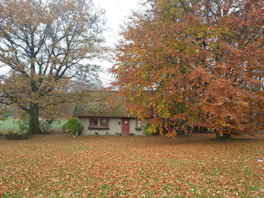 Comfy Guest House in Countryside view 3