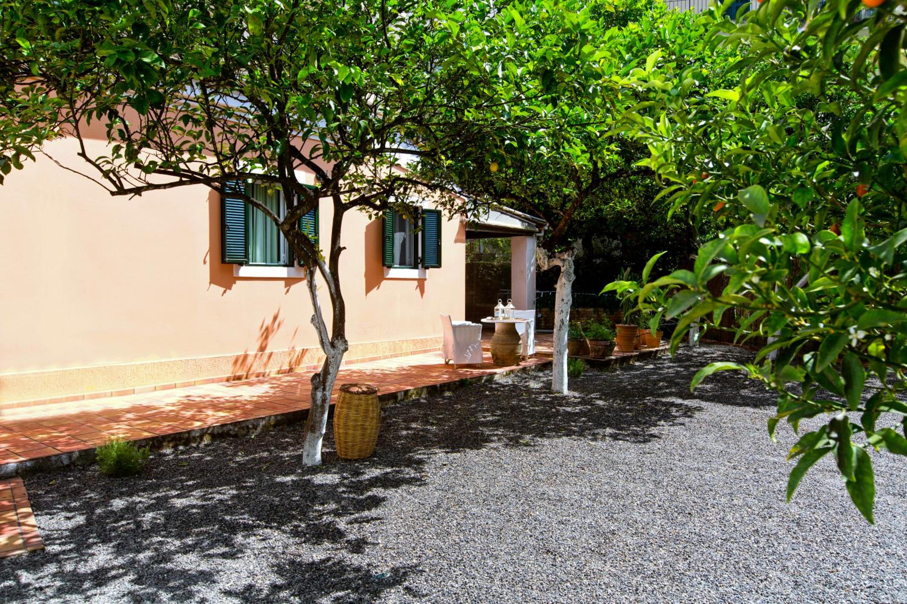 Casa Paleopolis