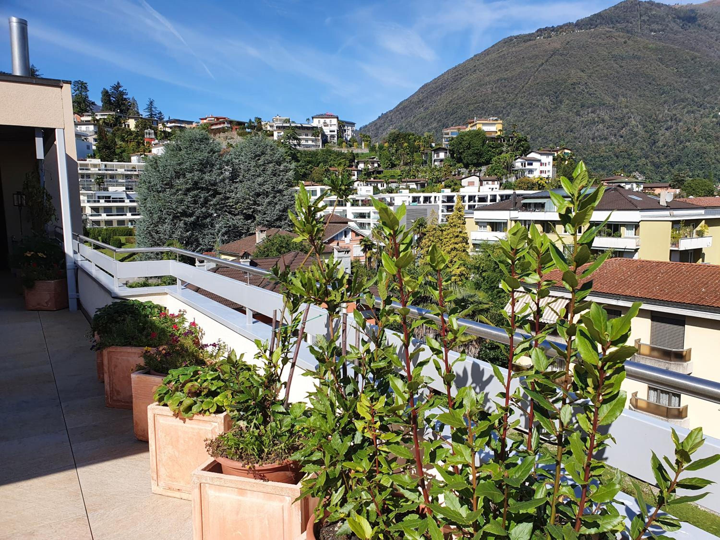 Ascona: San Carlo ATTIKA