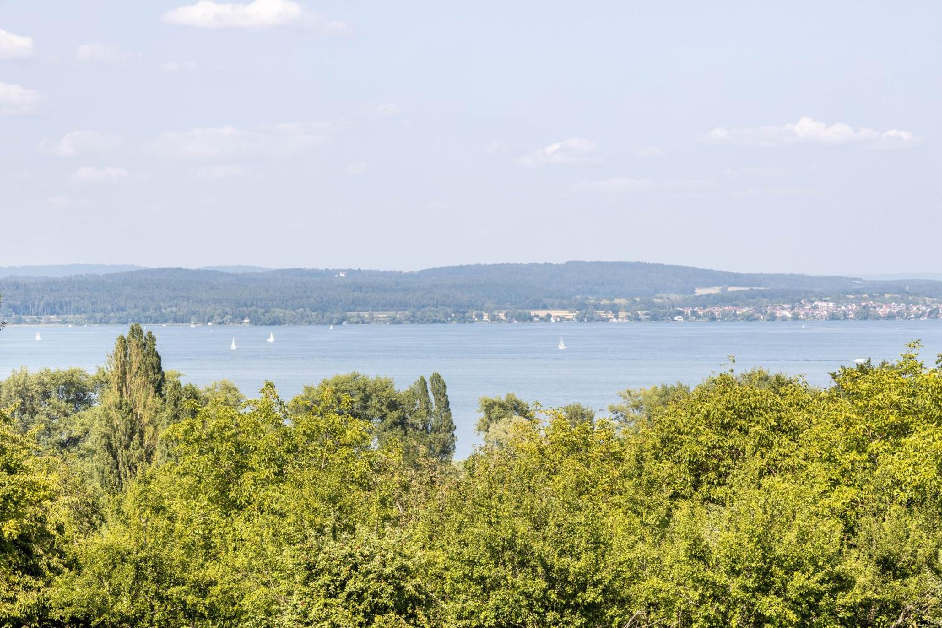 Schmid am See