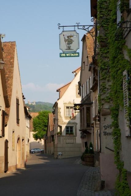 Le Grenier Des Arômes Au Domaine Wittmann