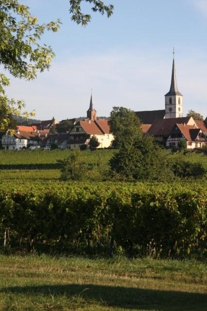 Le Grenier Des Arômes Au Domaine Wittmann