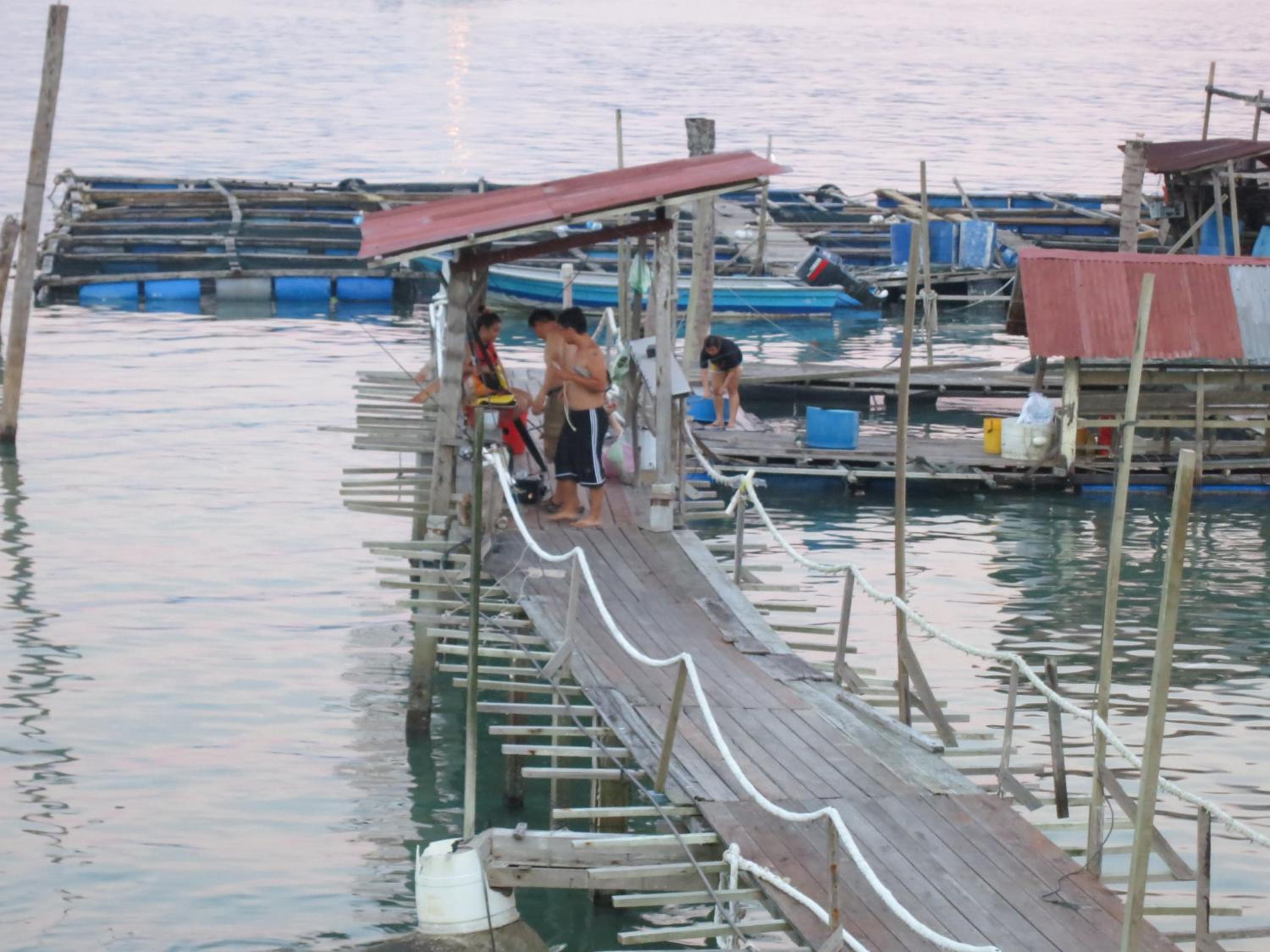 Pangkor Fish House, photo 37