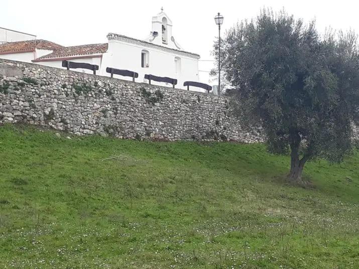 Photo 29