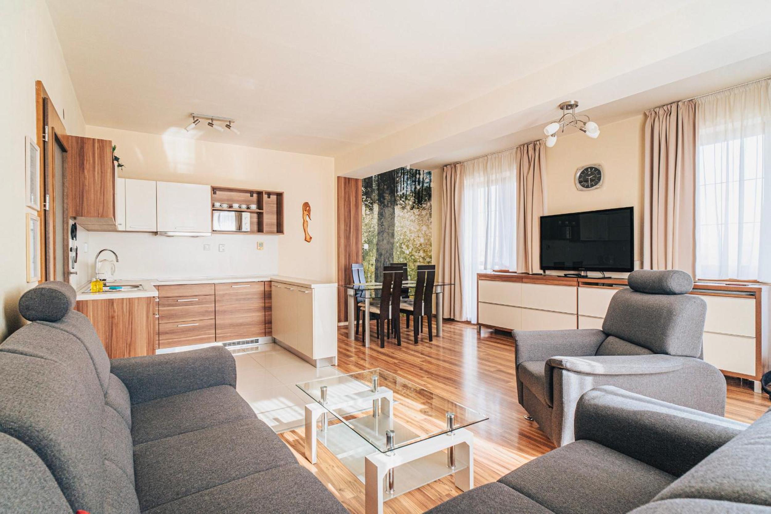 Apartmán Travel - Veľká Lomnica view 4