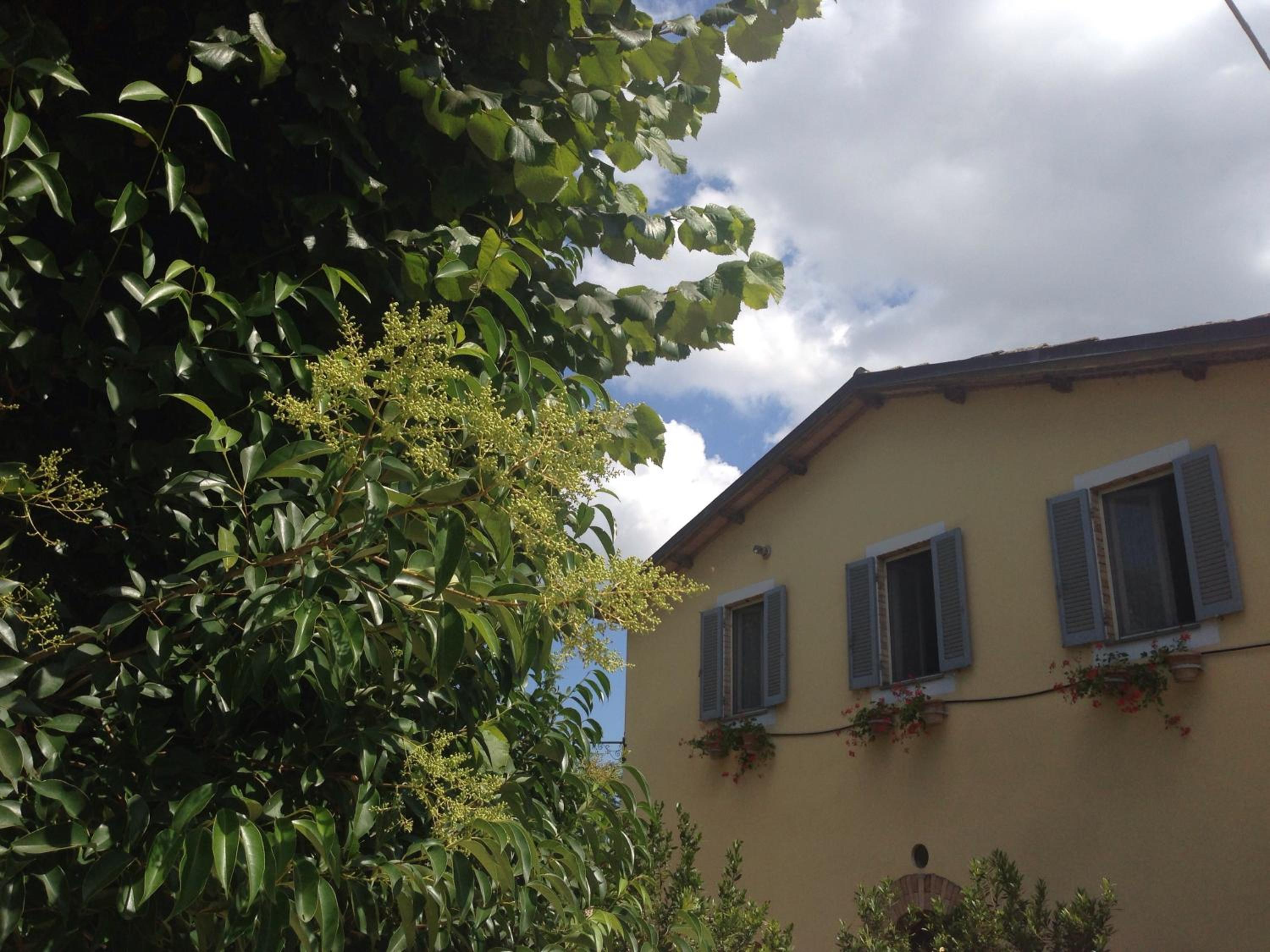 Agriturismo Il Mulino del Vescovo