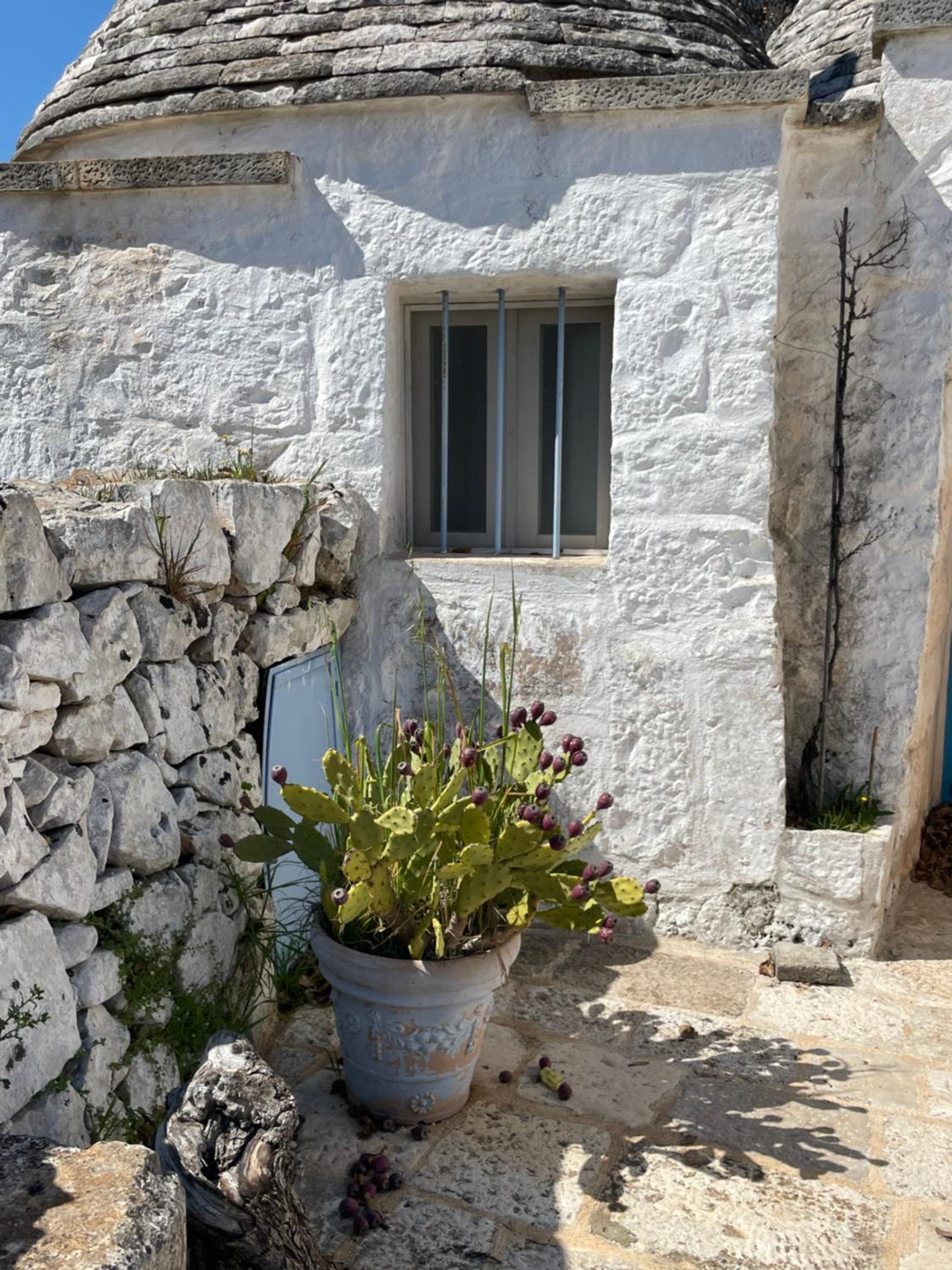 trulli mancinella