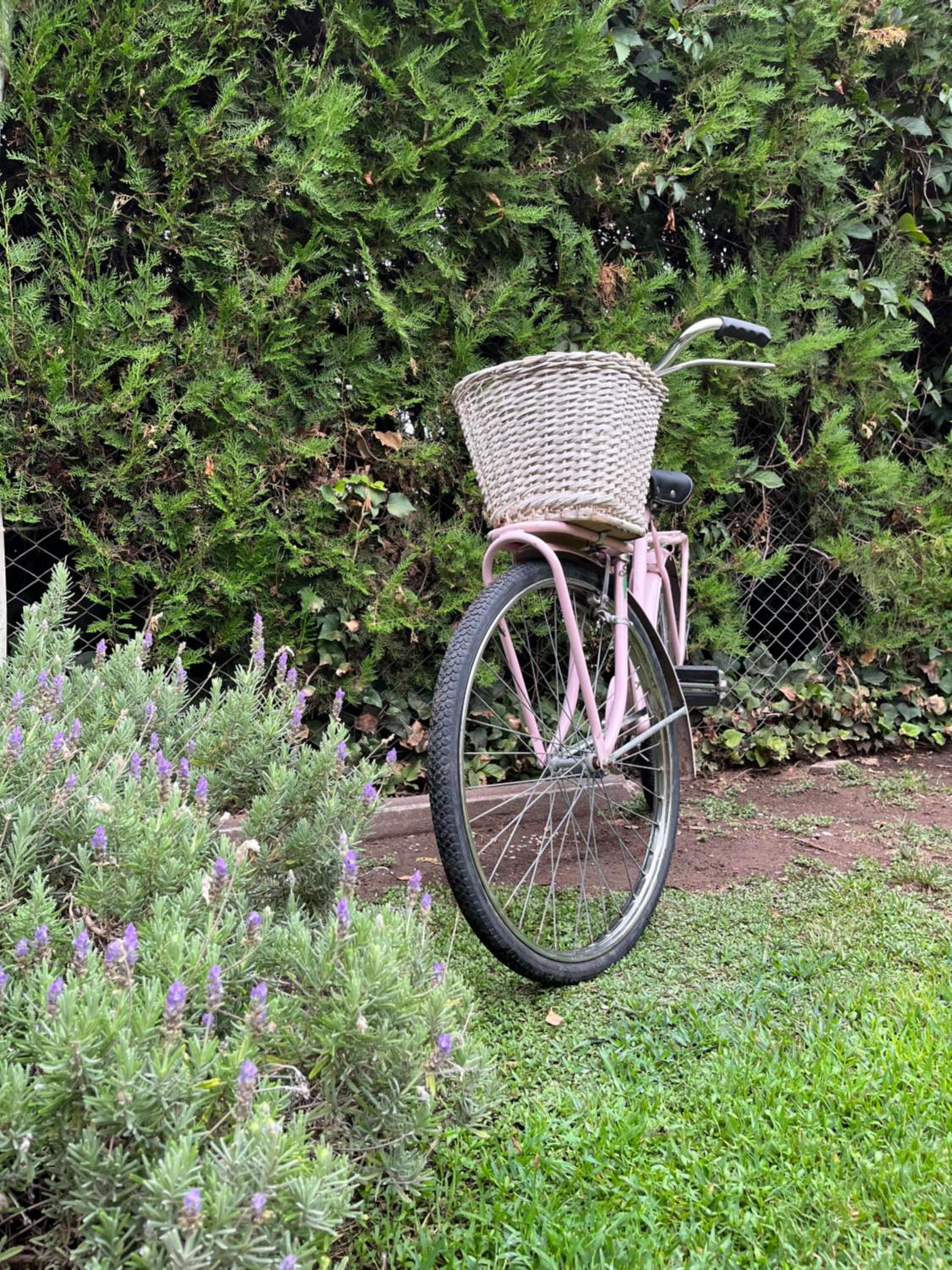 Casa en callejón privado en Chacras de Coria con bicicleta