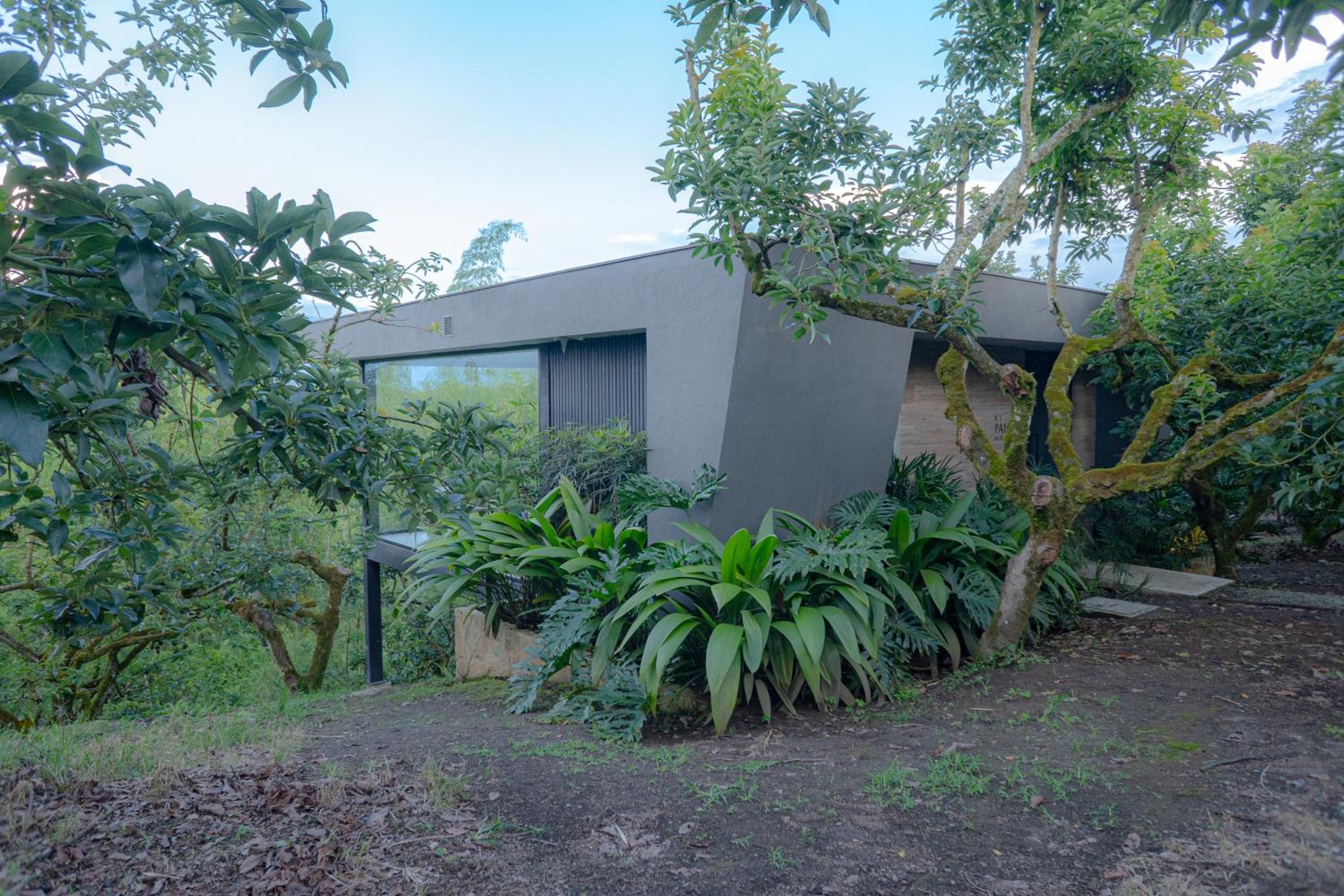 Palta Hotel