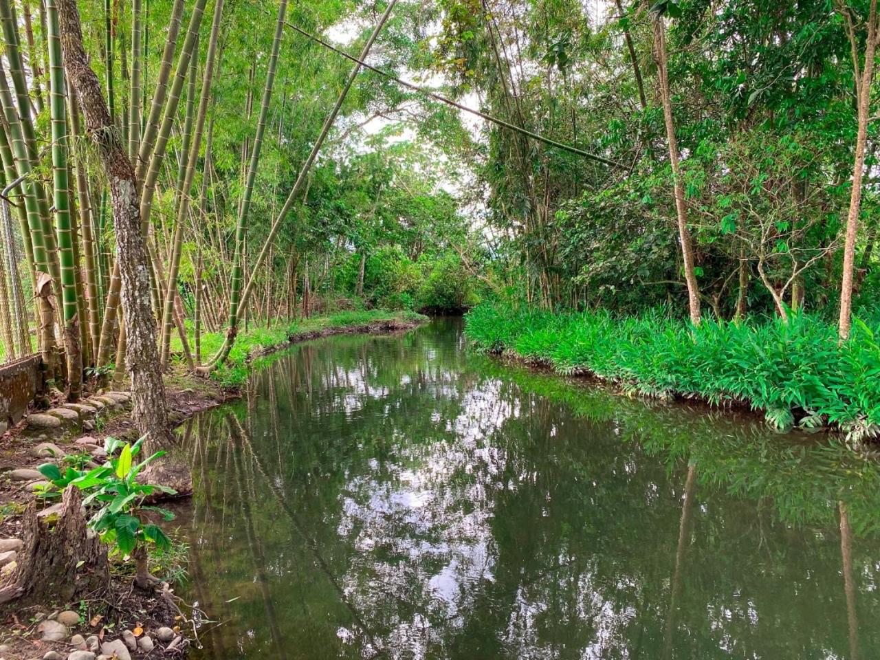 Hotel Zensi 420