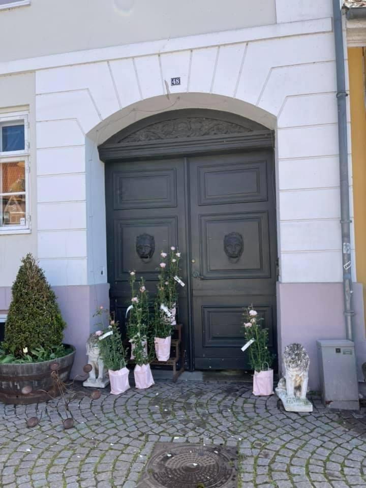 Apothekergaarden Stege stuen mod gårdhaven