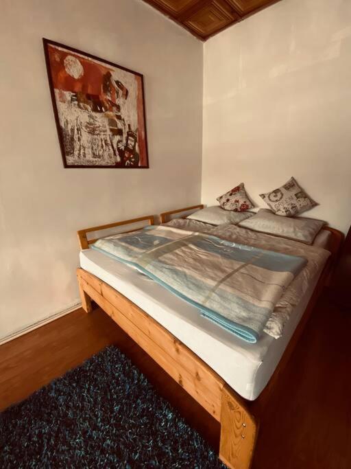 soukromý apartmán Přemysl