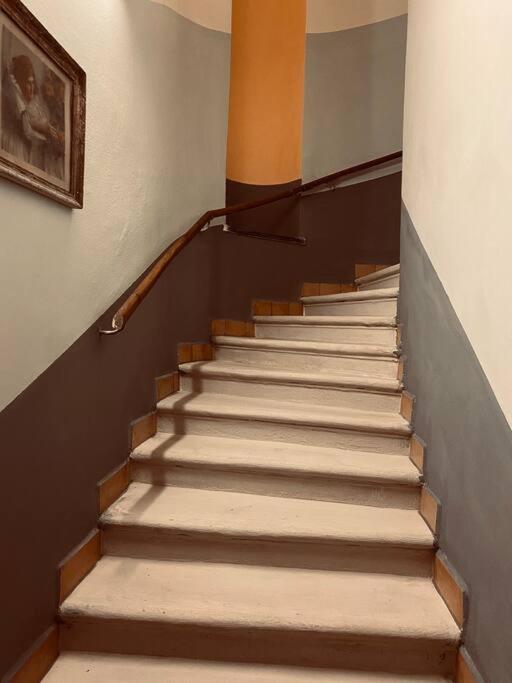 soukromý apartmán Přemysl