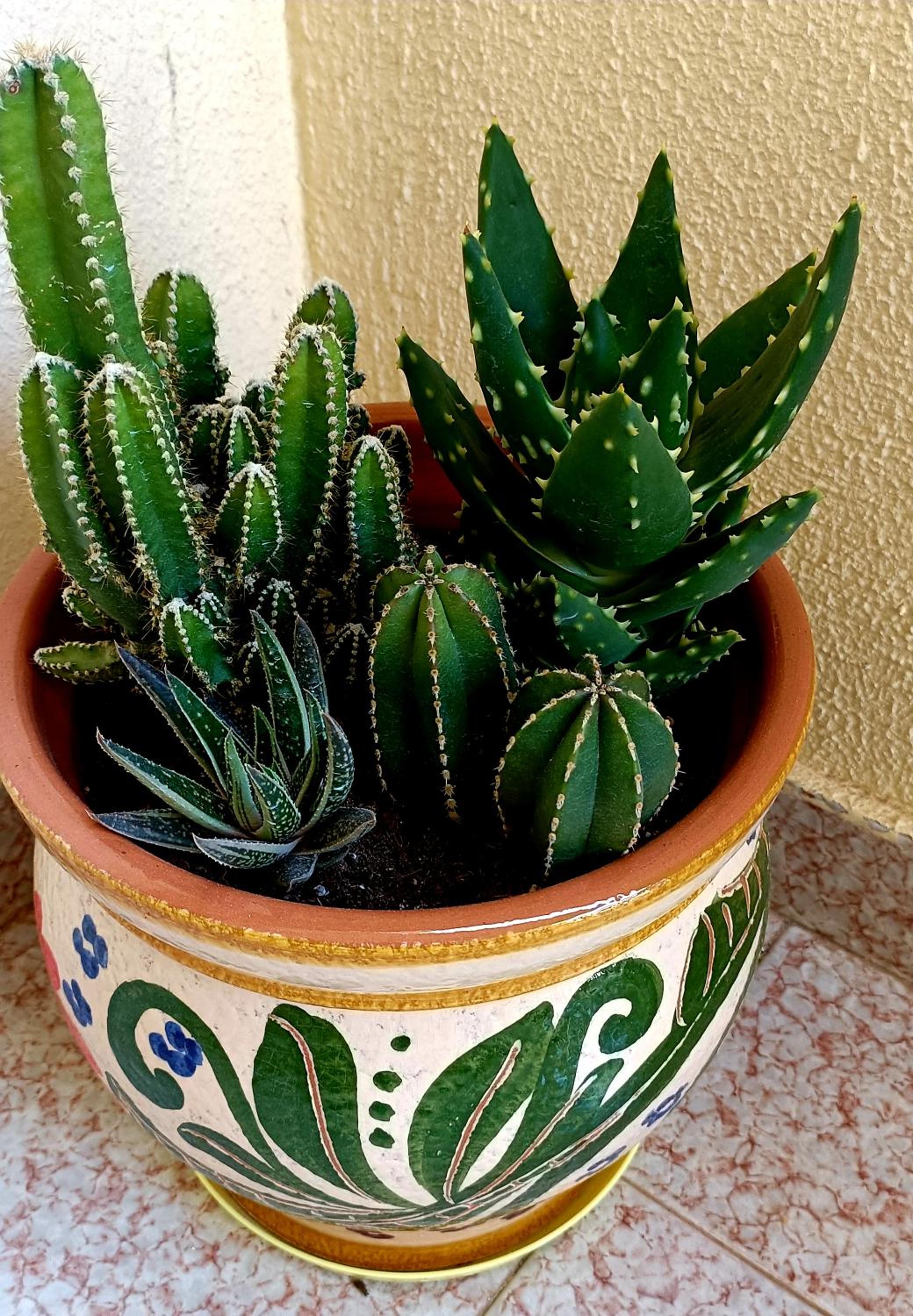 other