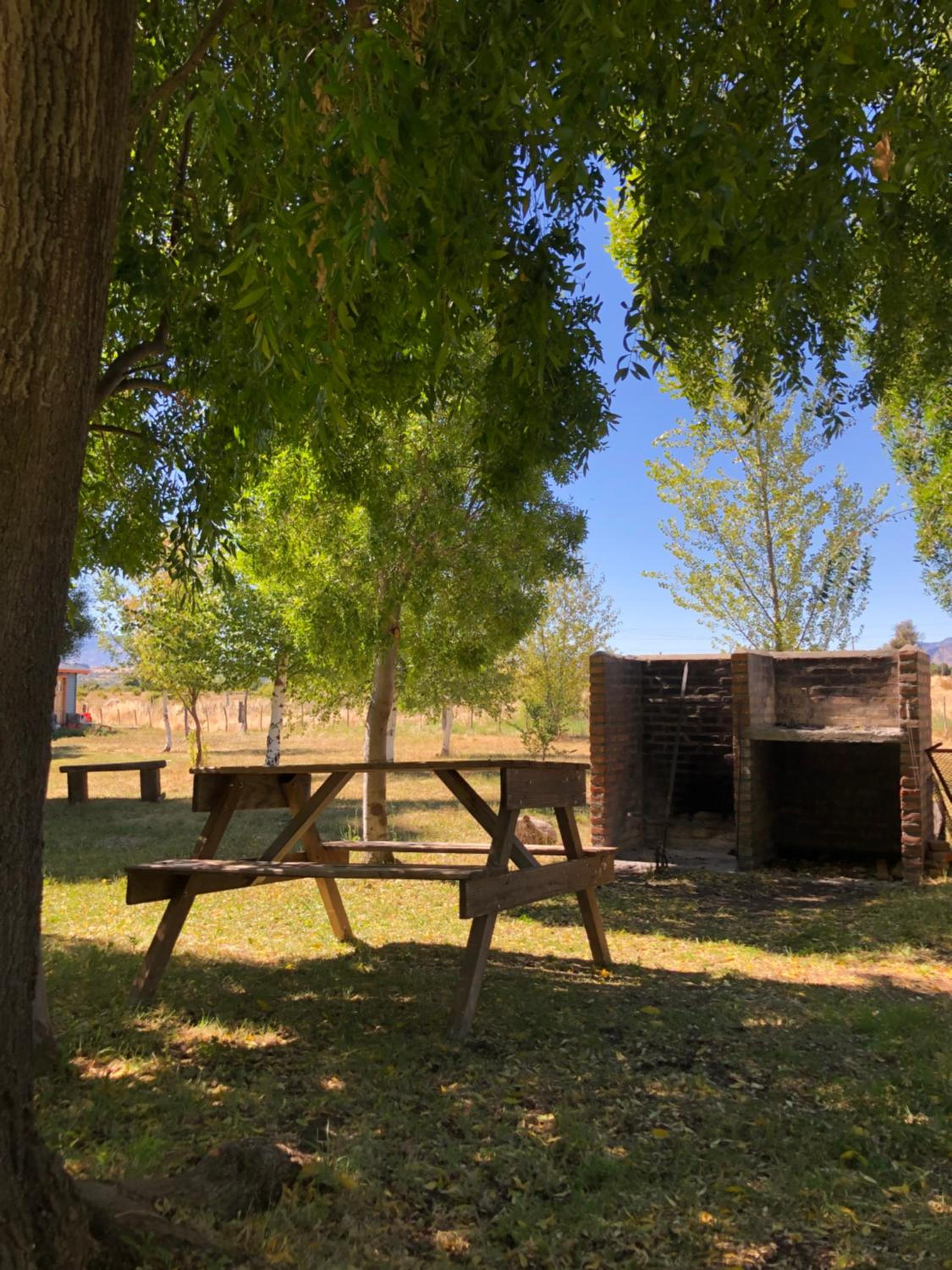 Cabaña Cordón Situación