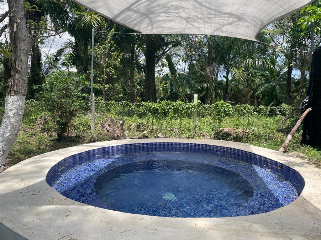 Casa Savoirone Cabuya