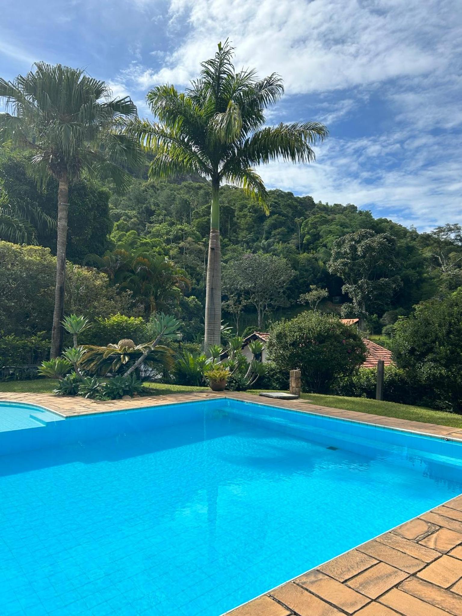 Pousada. Espatódea
