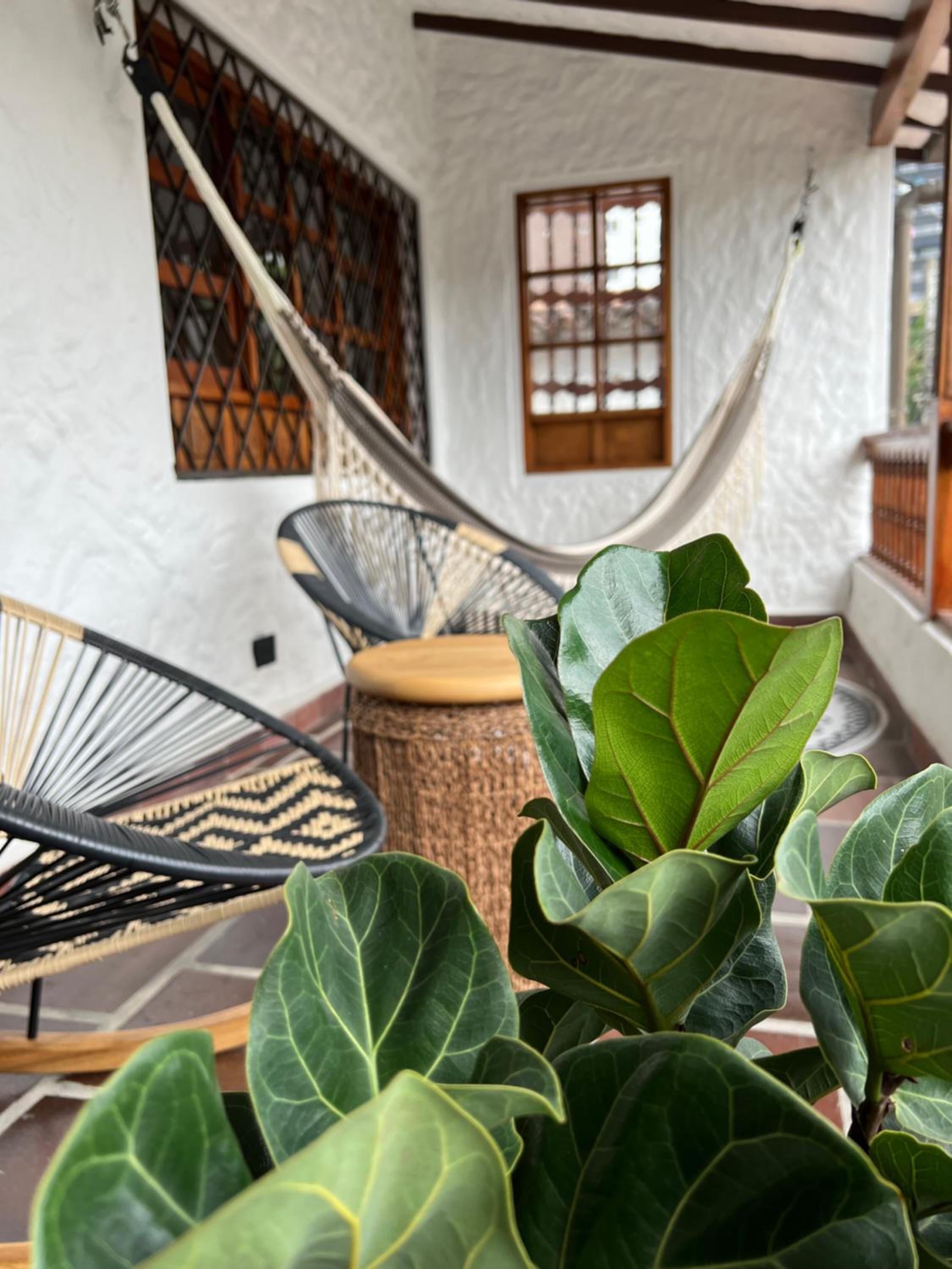 Casa Medallo