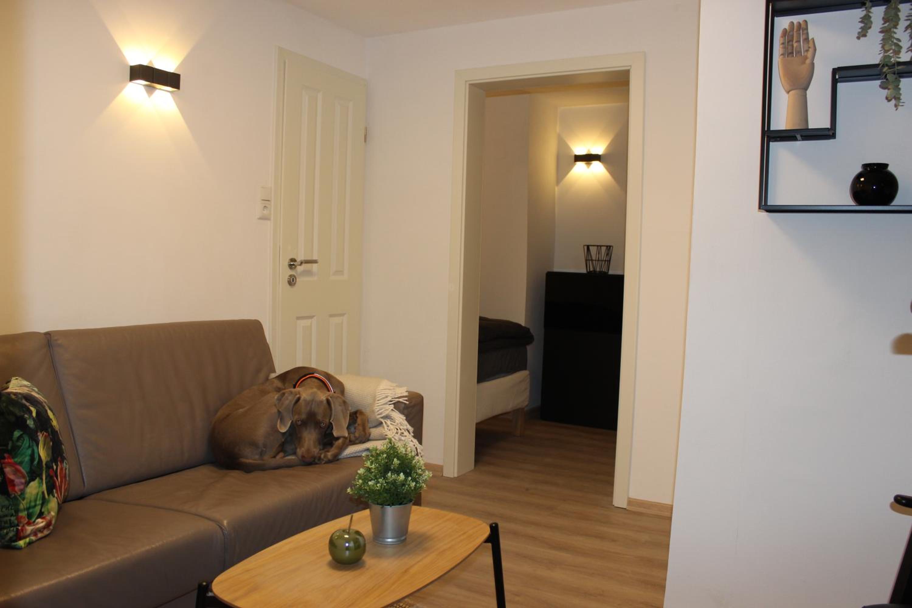 KLEINE SOUTERRAIN WOHNUNG NÄHE HAMBURG