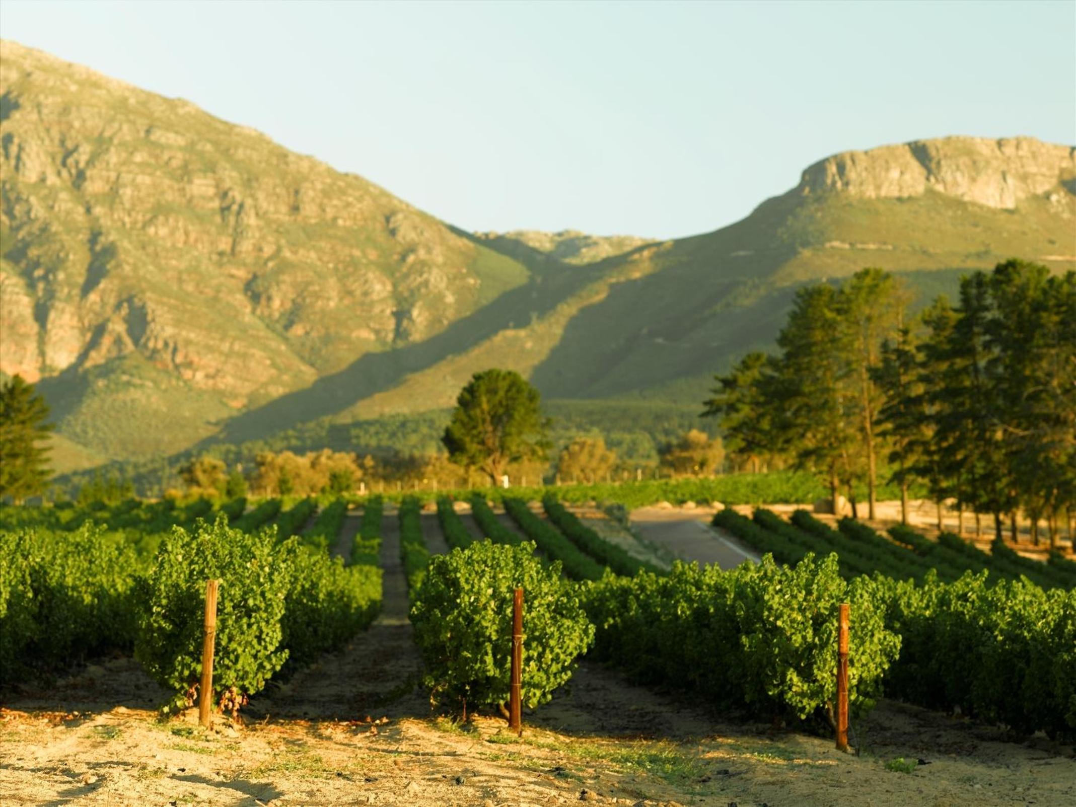 Diemersfontein Wine & Country Estate