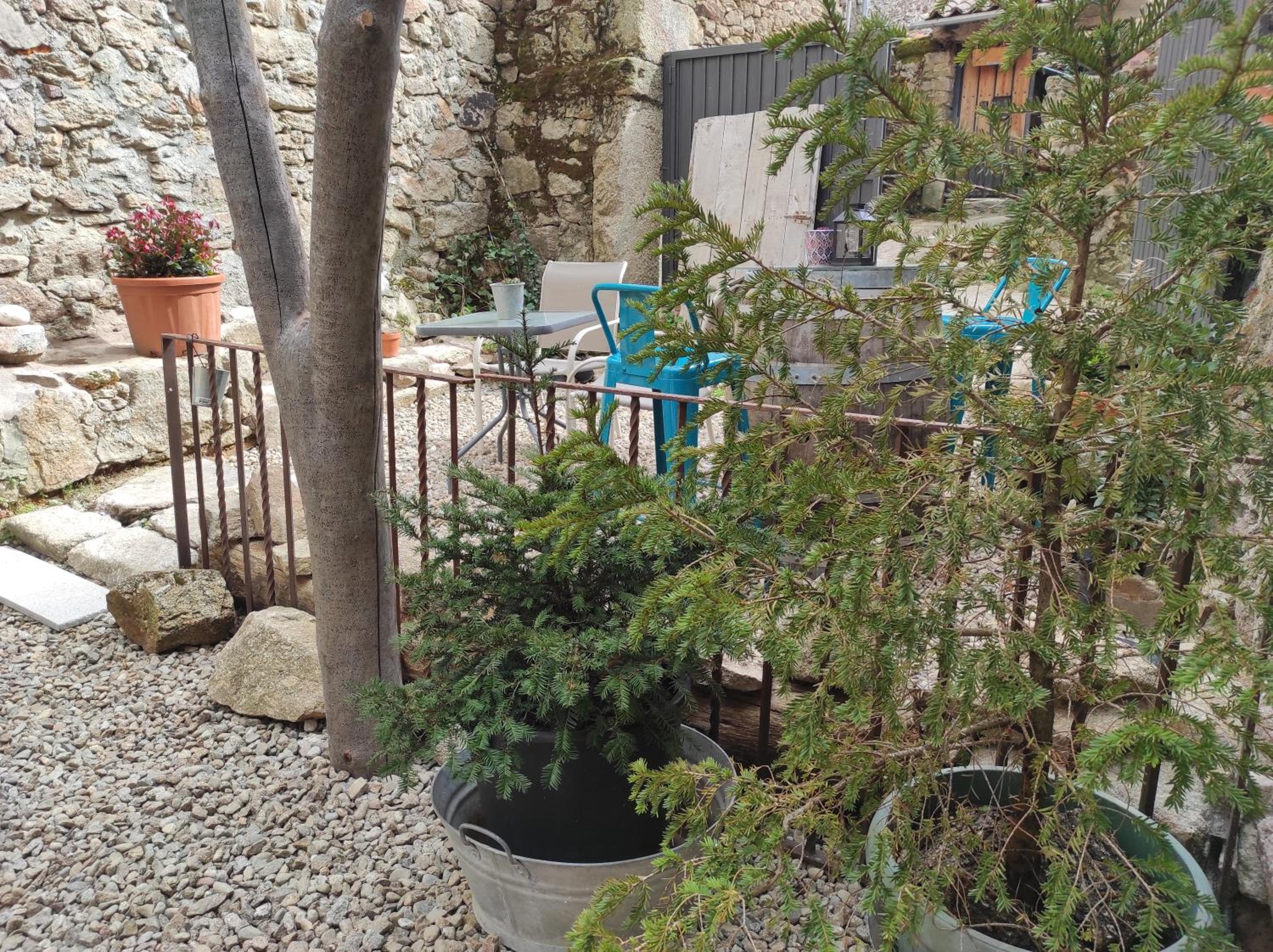 Photo 7
