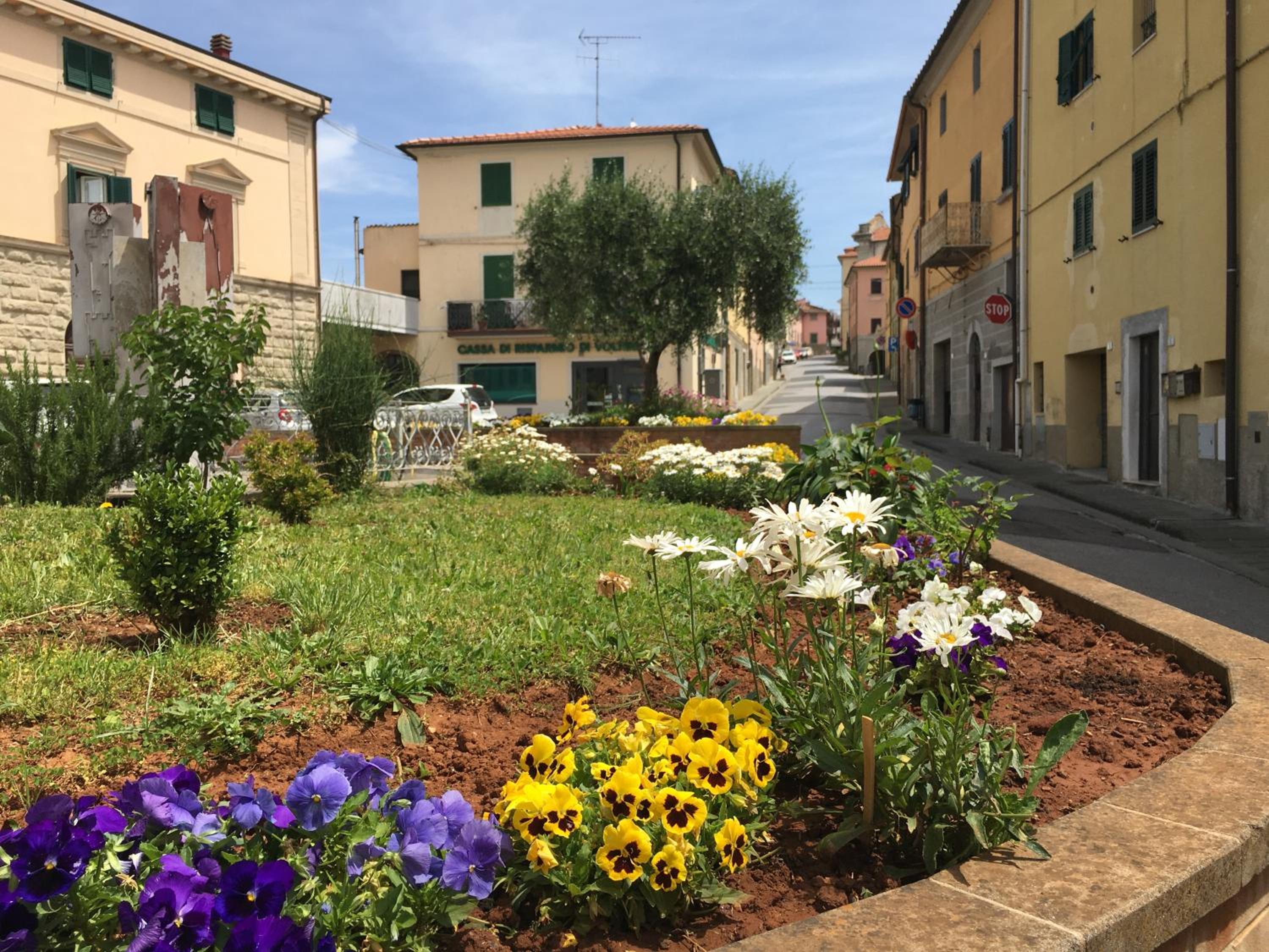 Casa Rosmarino, grill, Wi-Fi by ToscanaTour photo 5