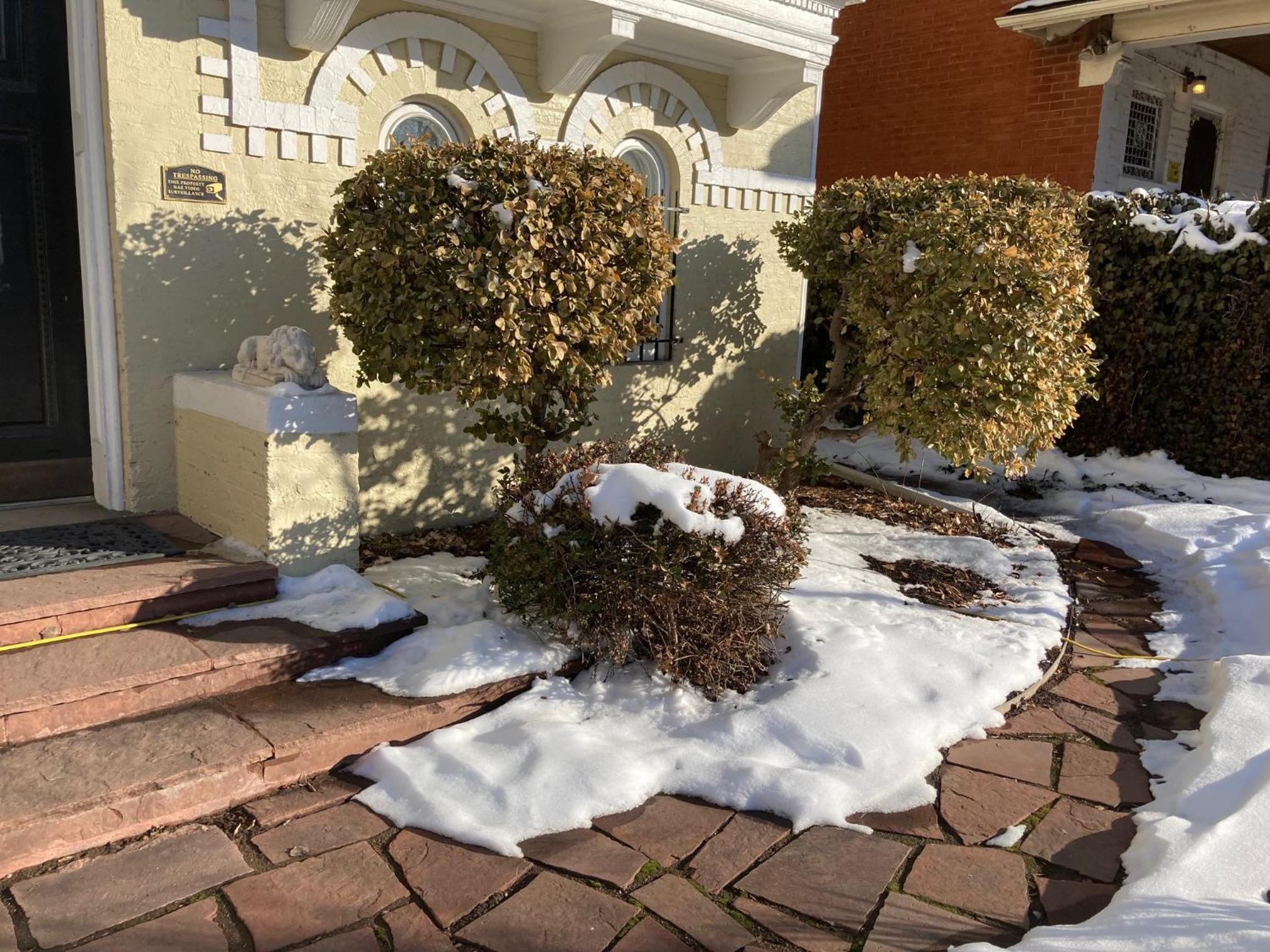 Photo 27