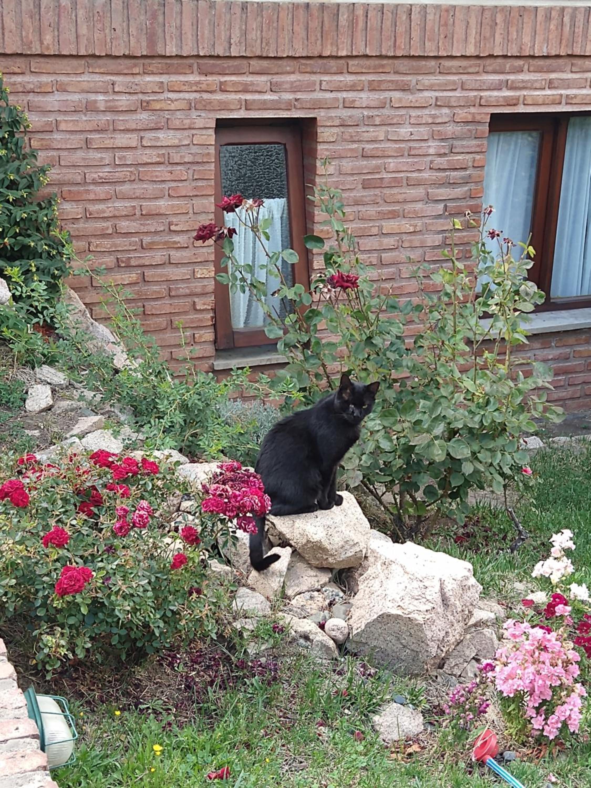 ROCAYAS HOME