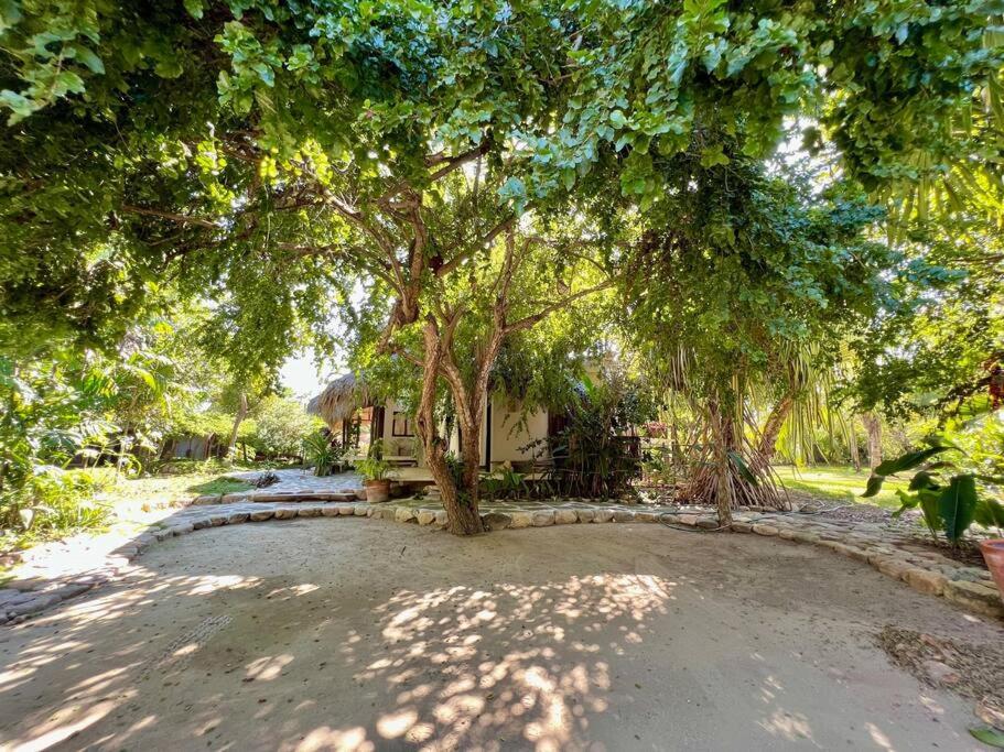 Casa KUUL, elegant fusion of house and garden. view 4