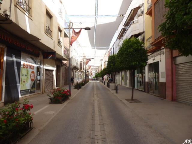 APARTAMENTO ANCHA CENTRO