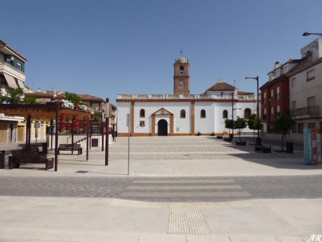 APARTAMENTO ANCHA CENTRO
